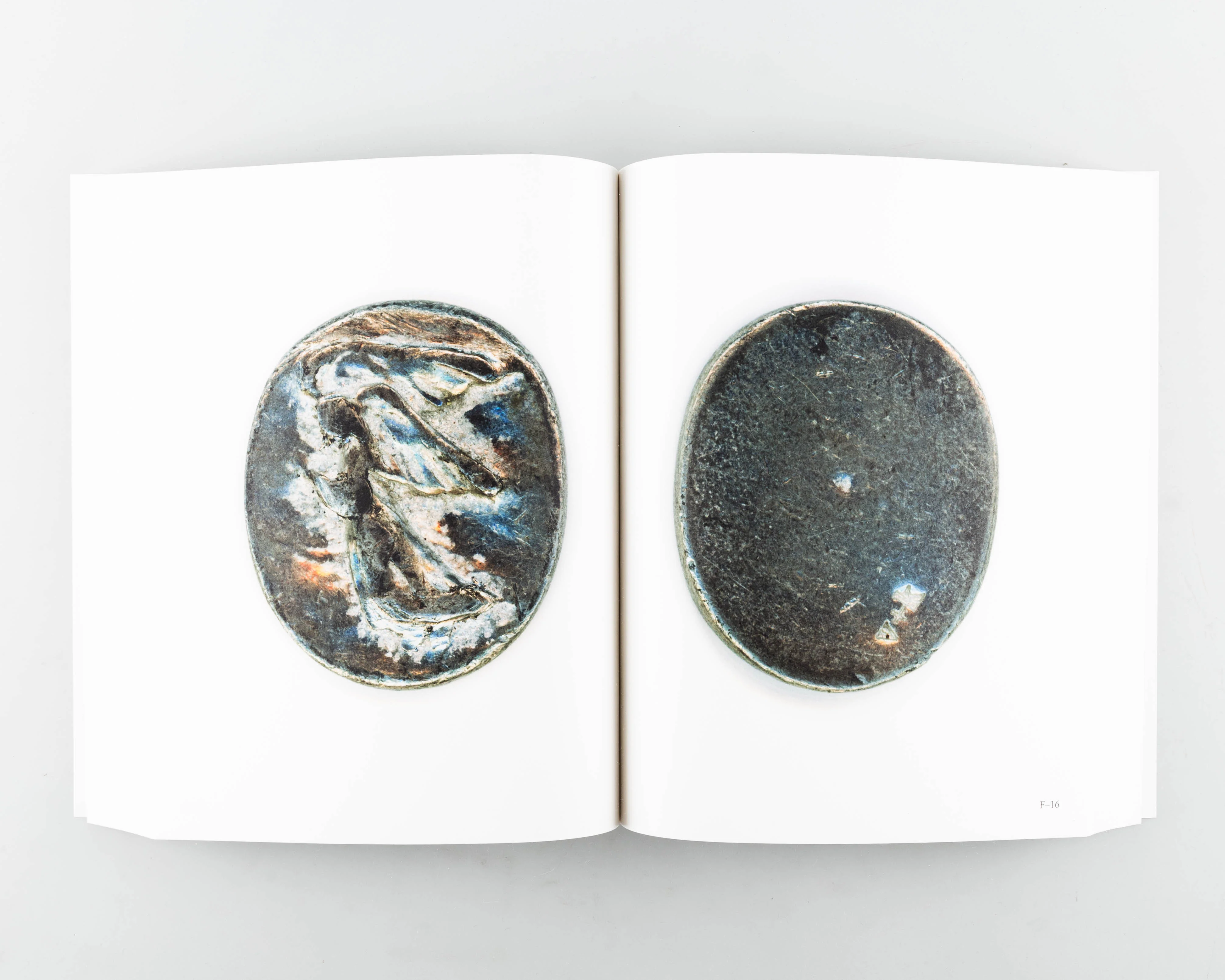 Slugs - Image 6