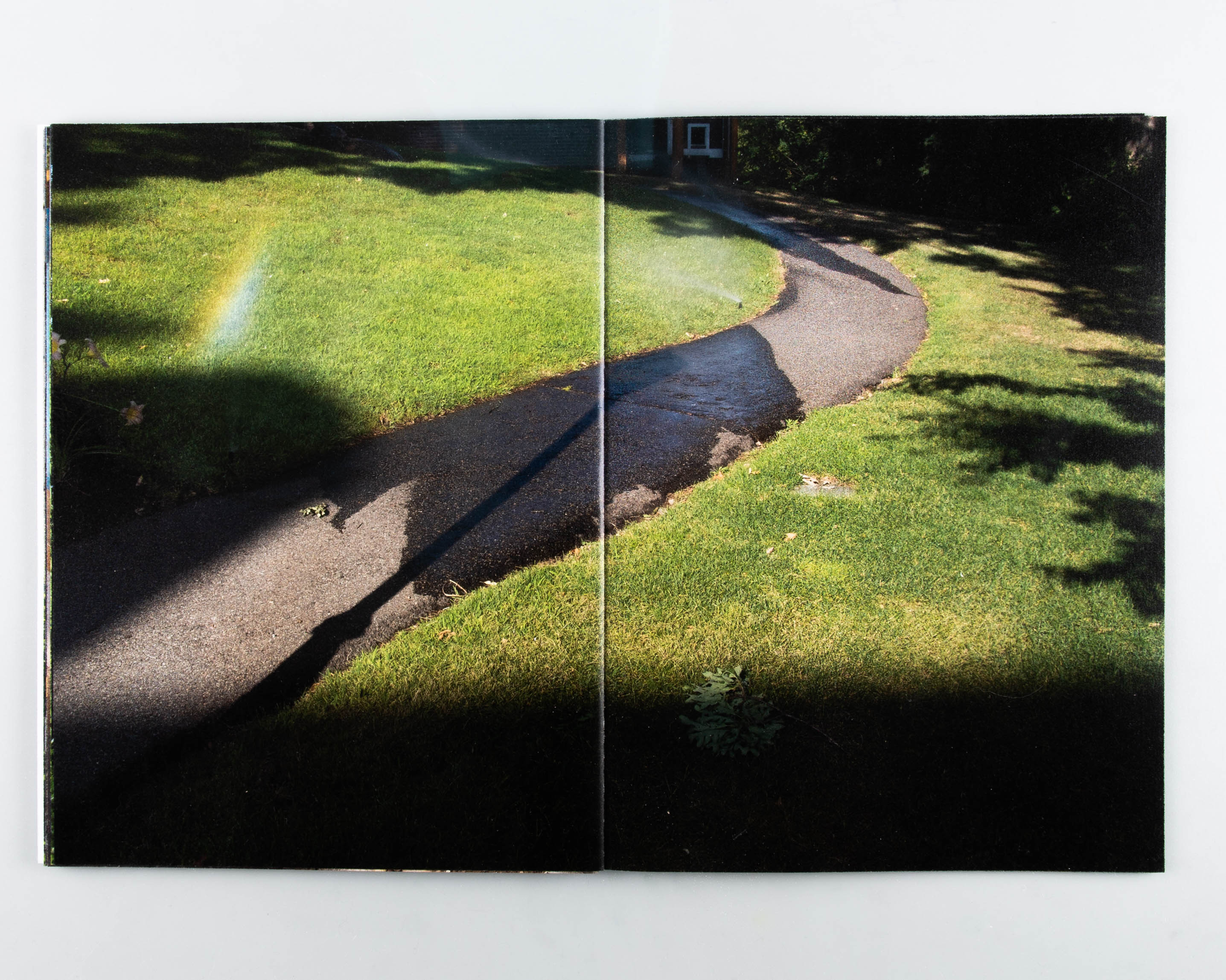 Some Pictures - Image 8