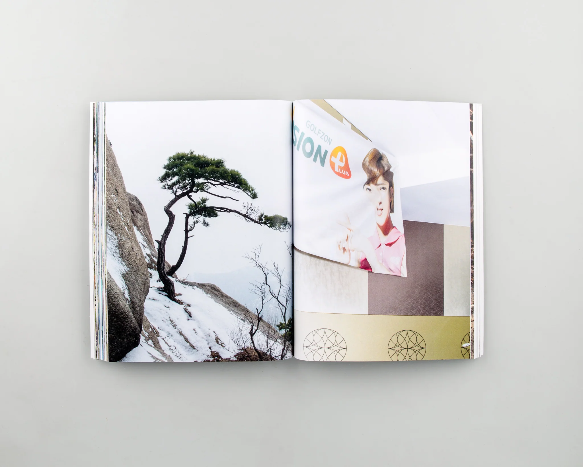 South Korean Nature Photography - Image 8