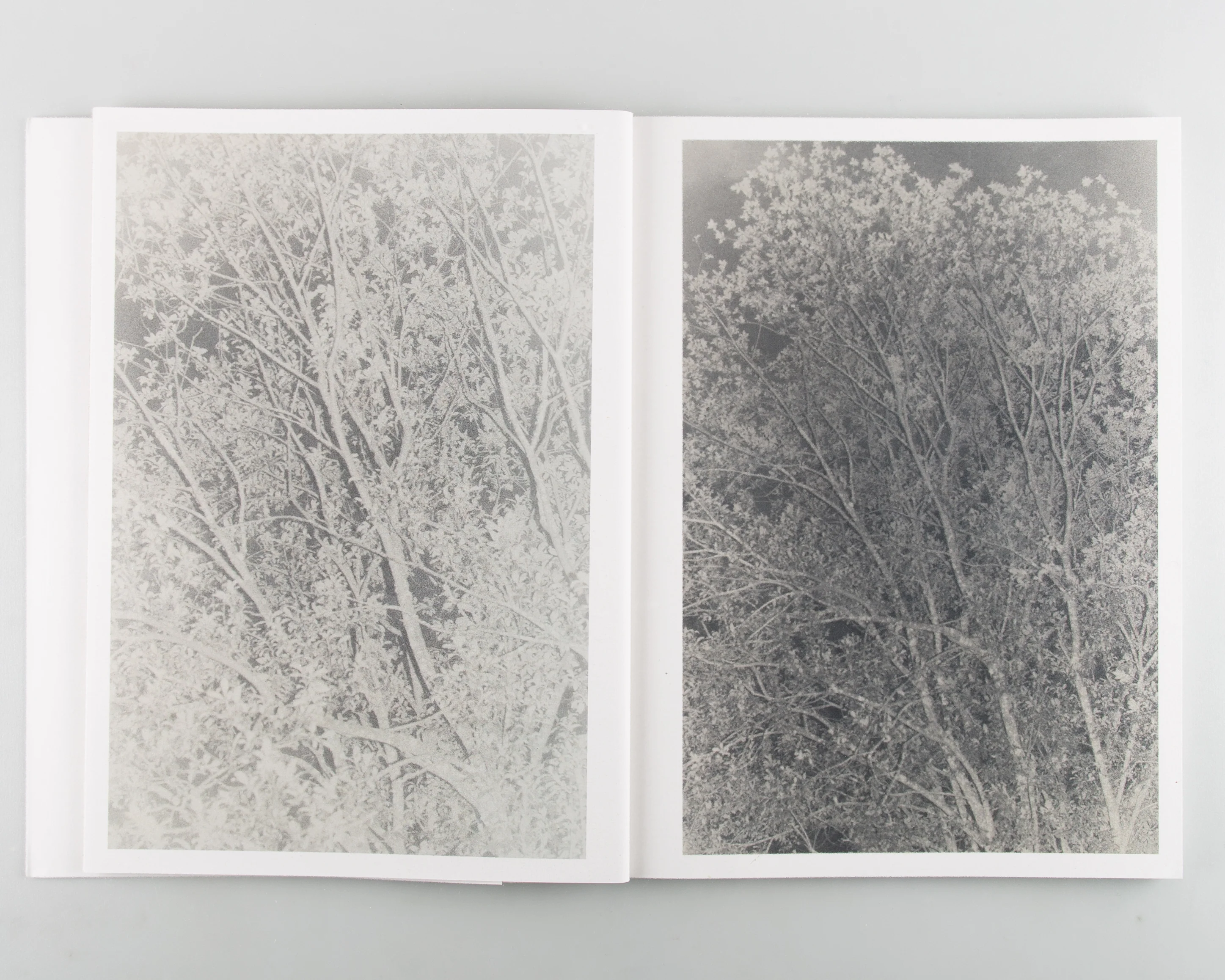 Stains & Ashes - Image 2