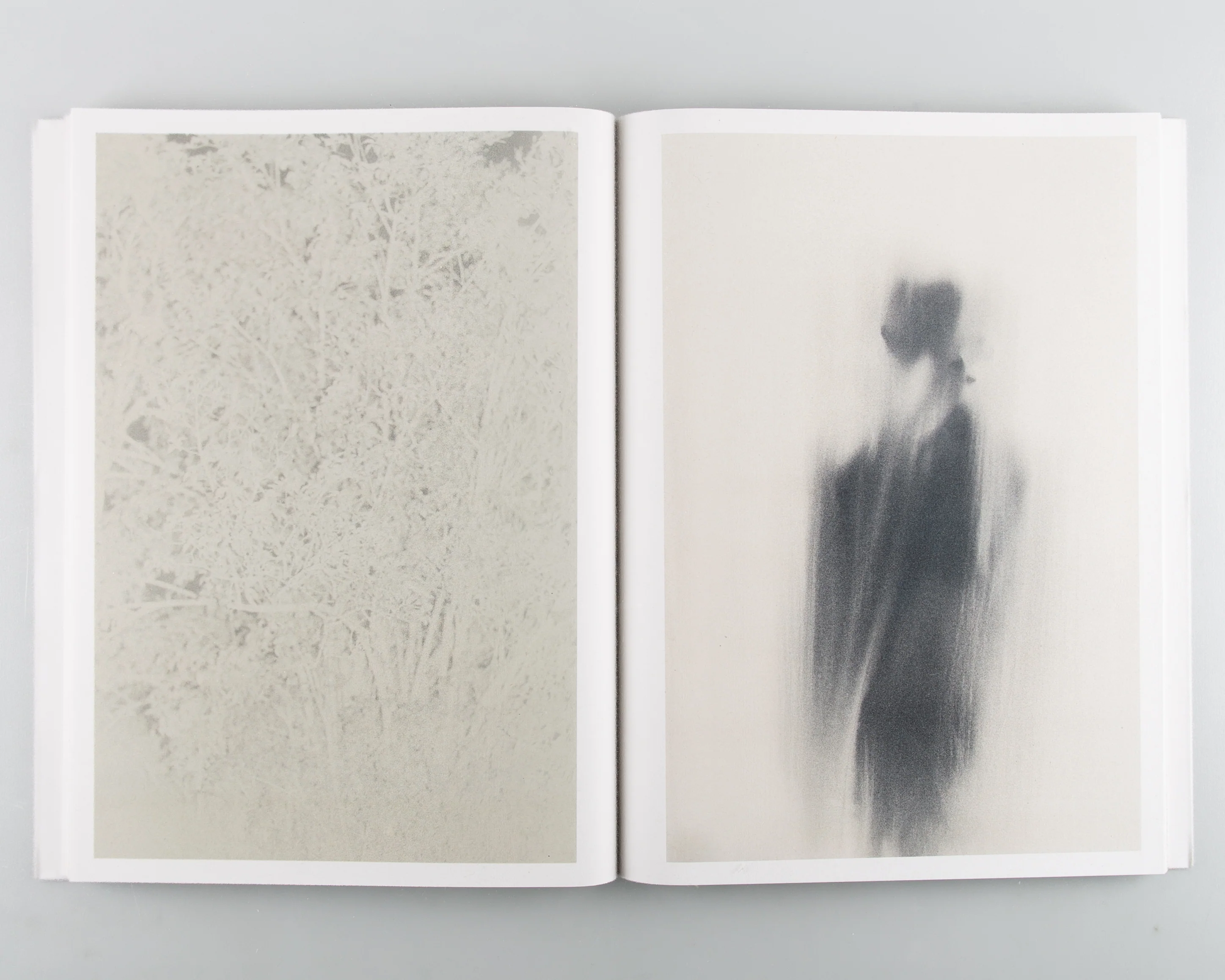 Stains & Ashes - Image 5