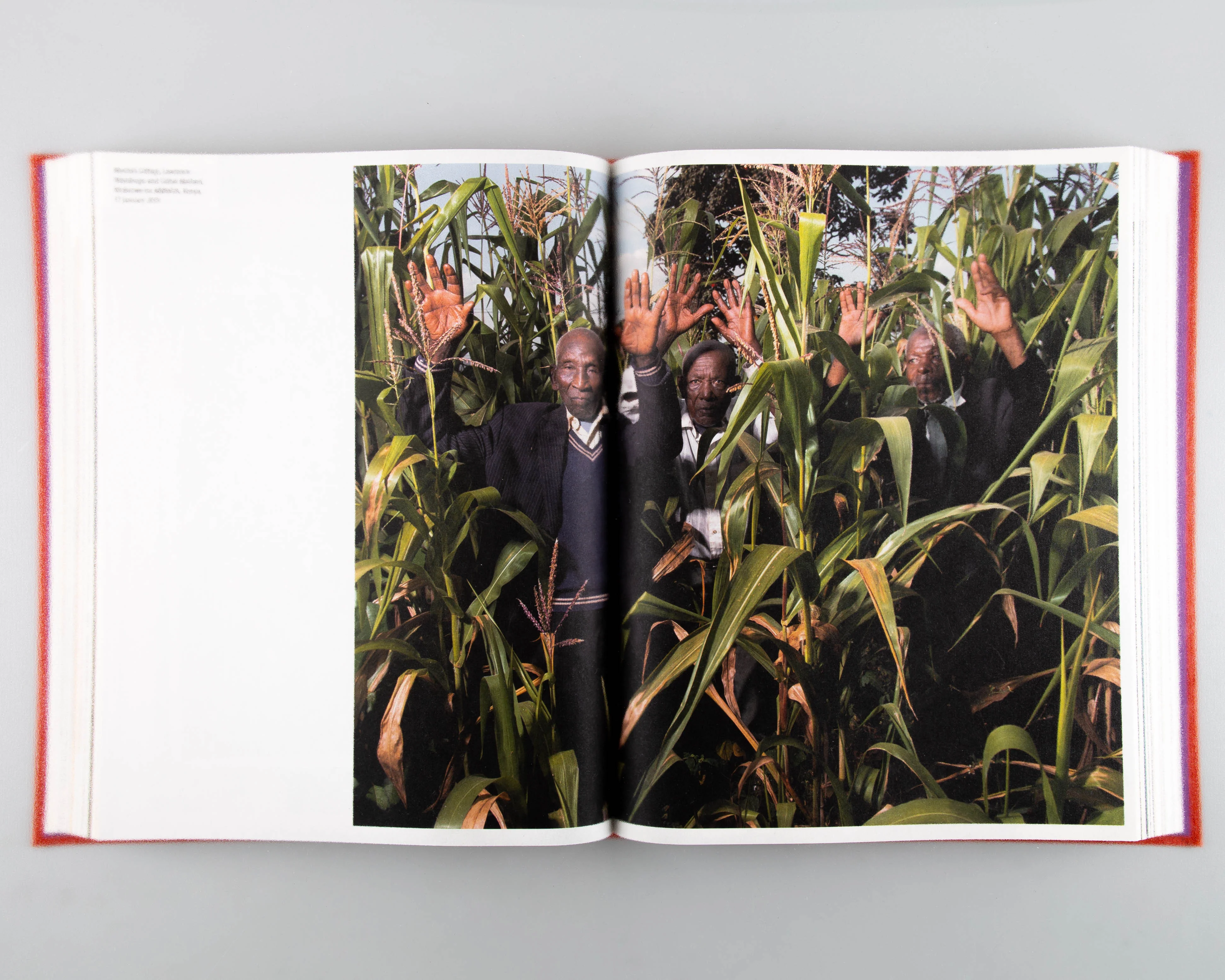State of Emergency - Image 7