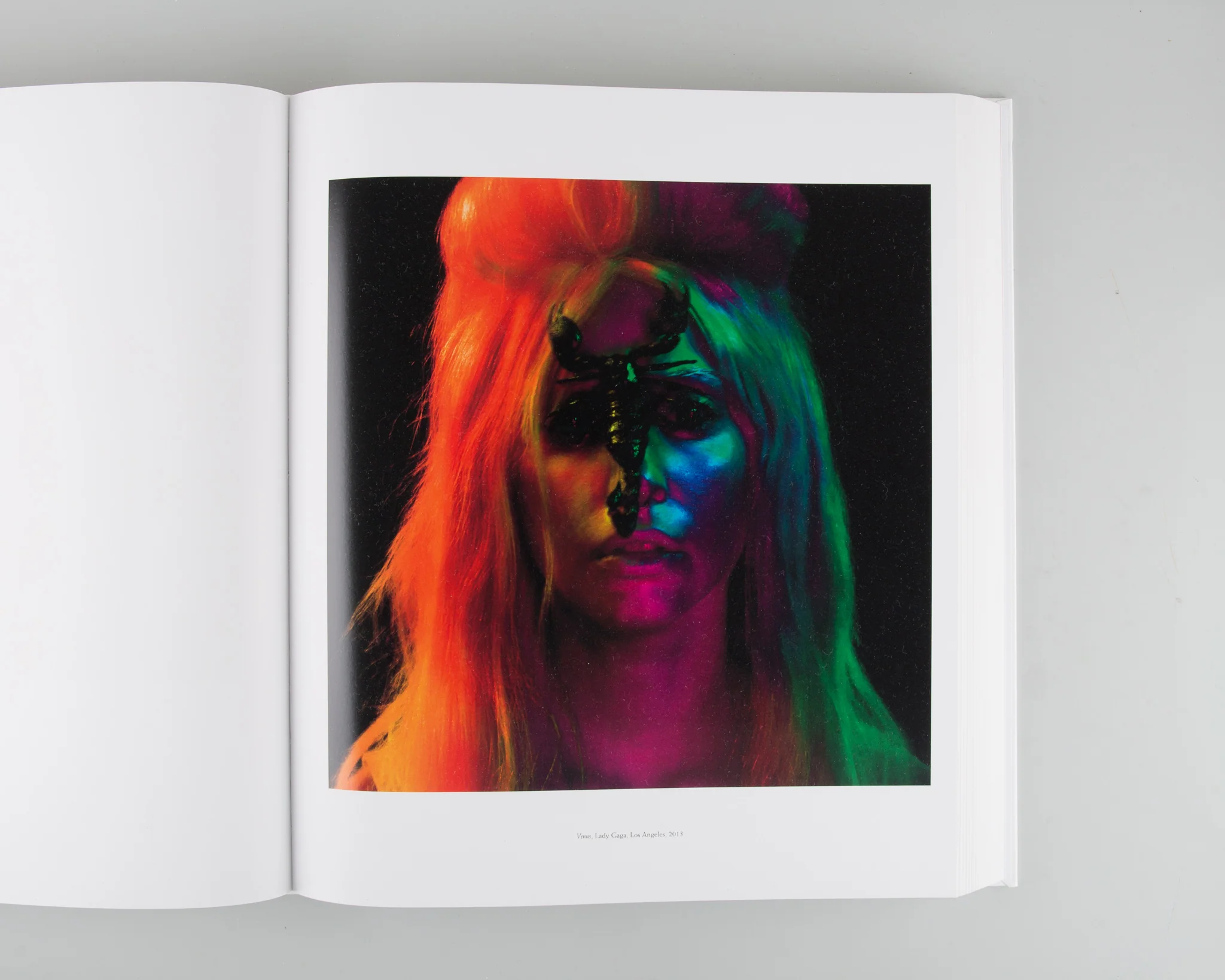 Steven Klein - Image 8