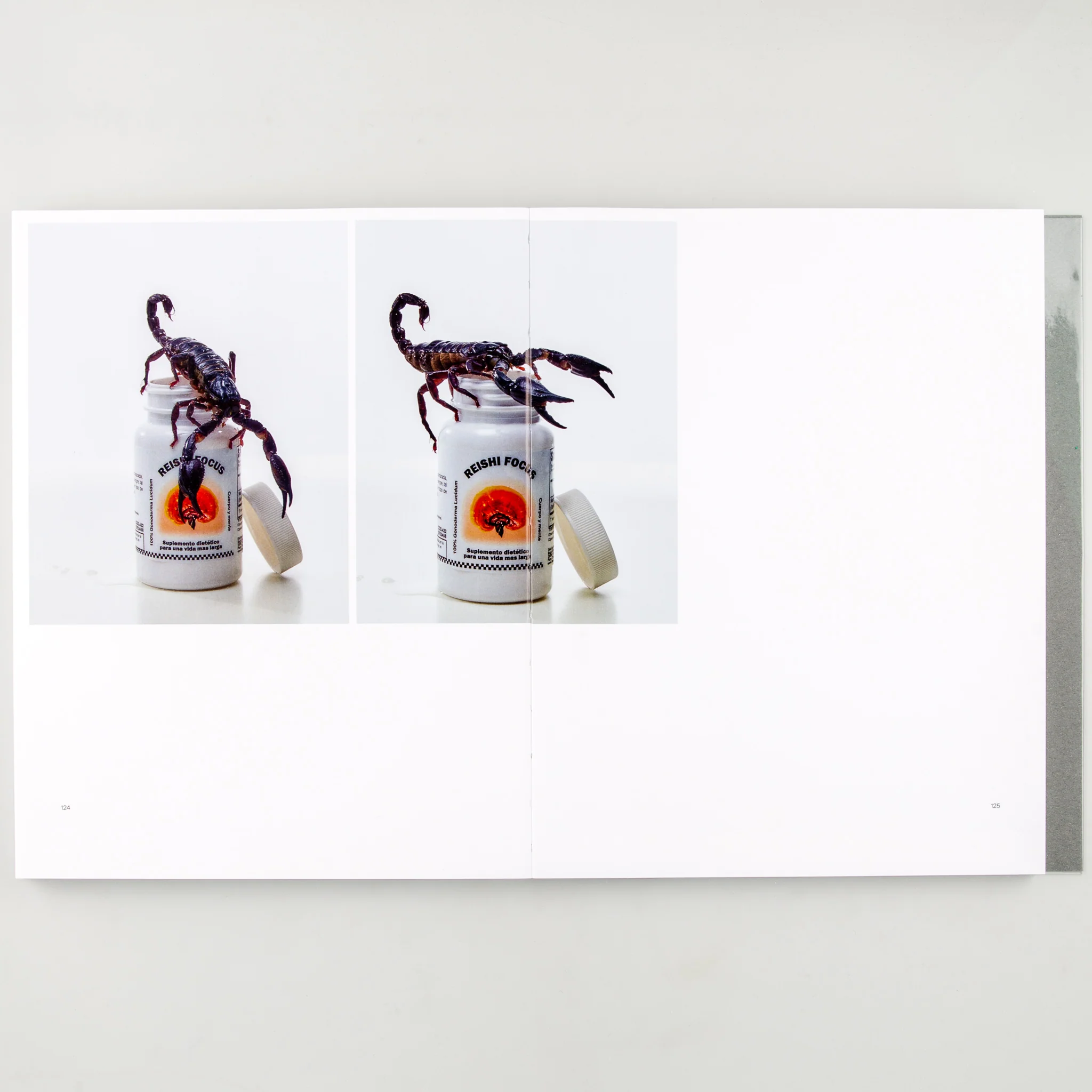 Still Life - Image 12