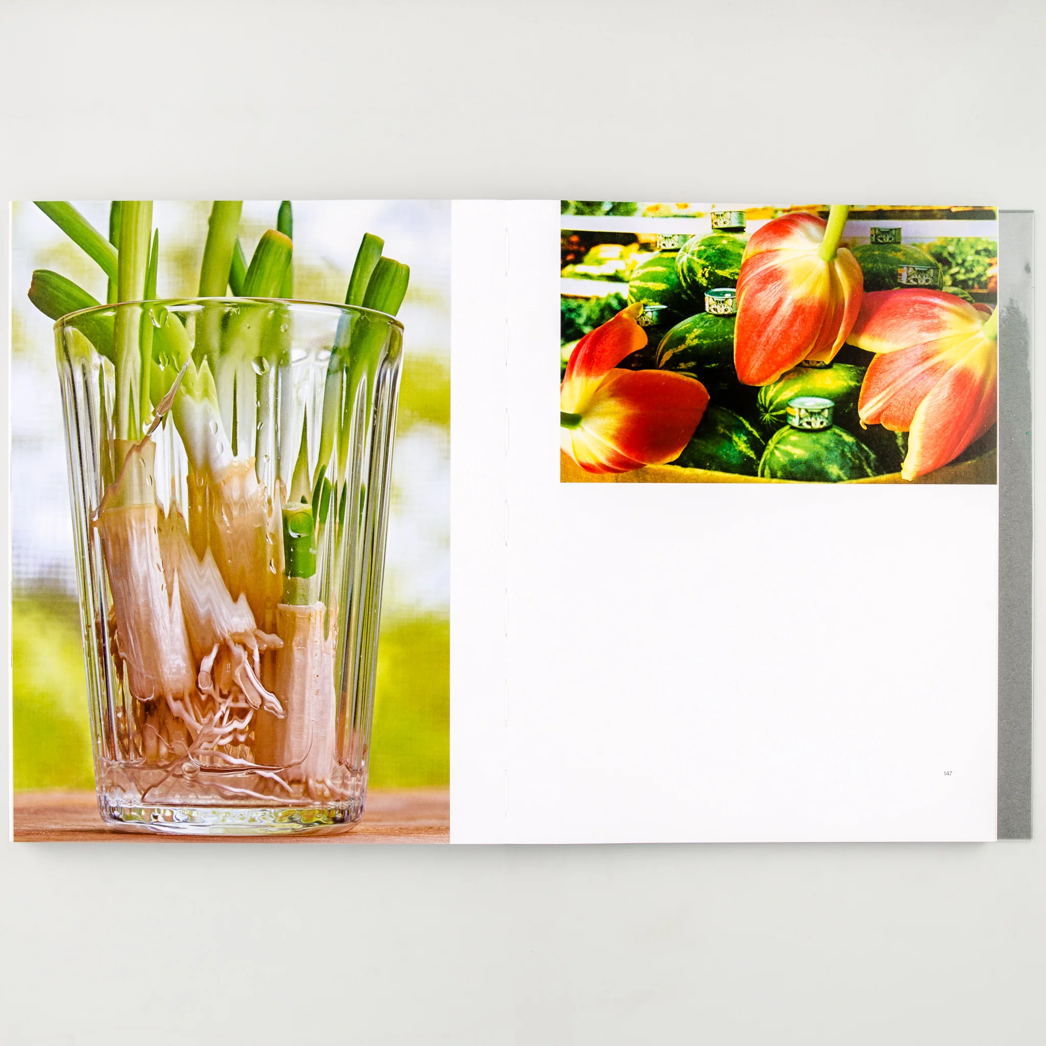 Still Life - Image 15
