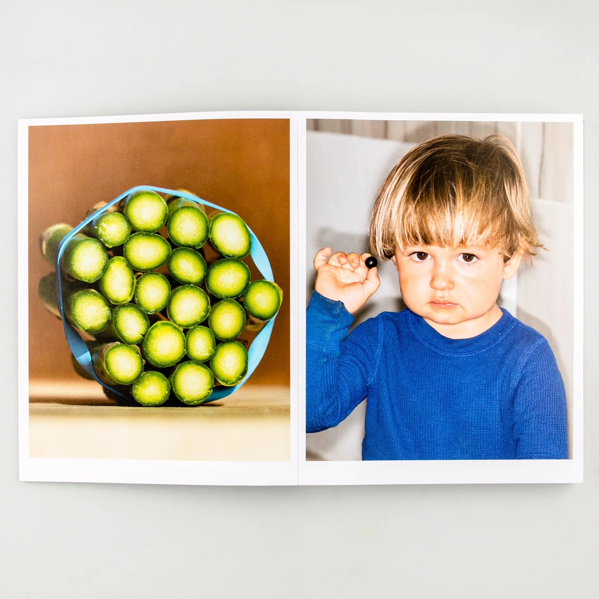 Still Life - Image 5