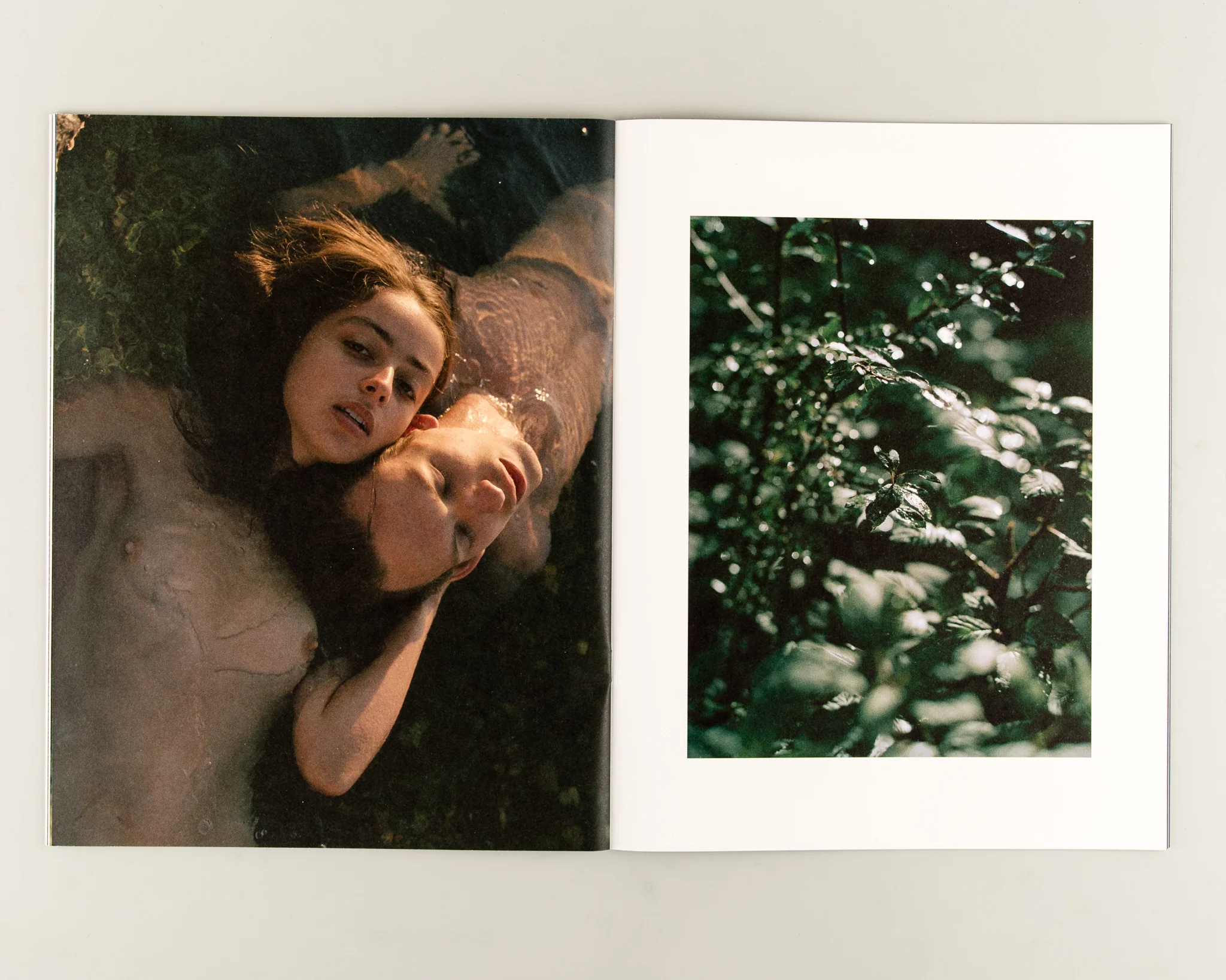 Summerland - Image 6