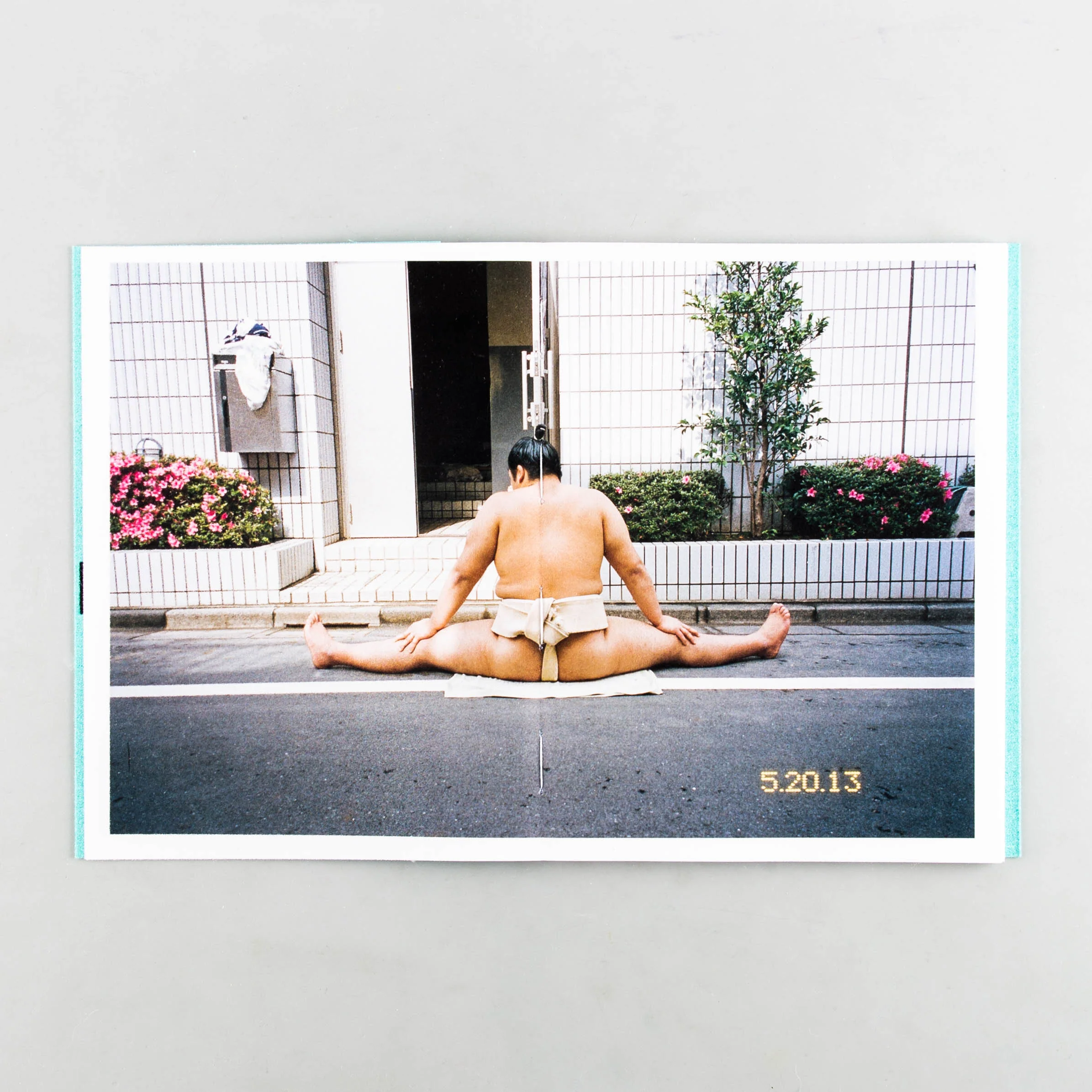 Sumo Judo - Image 2