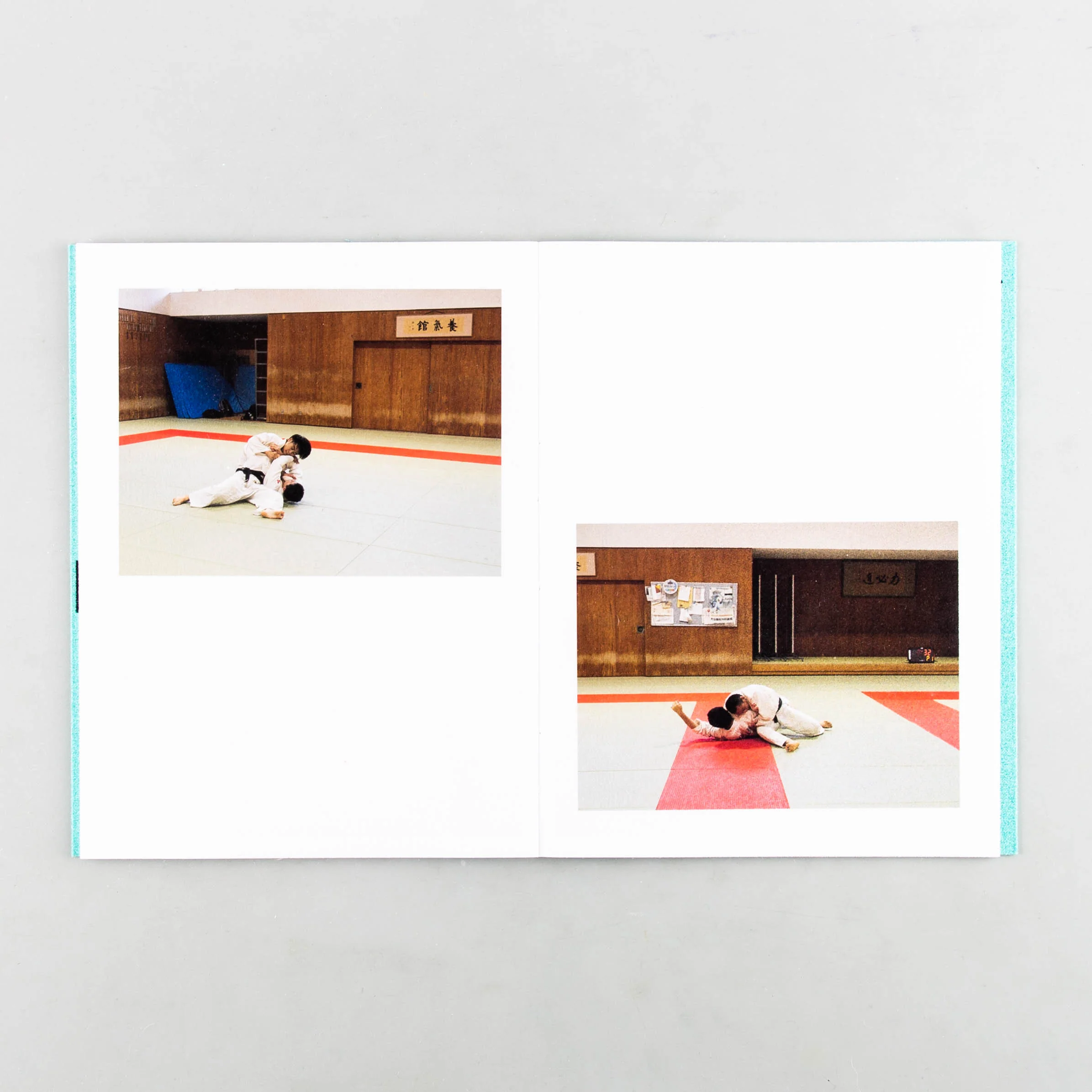 Sumo Judo - Image 5