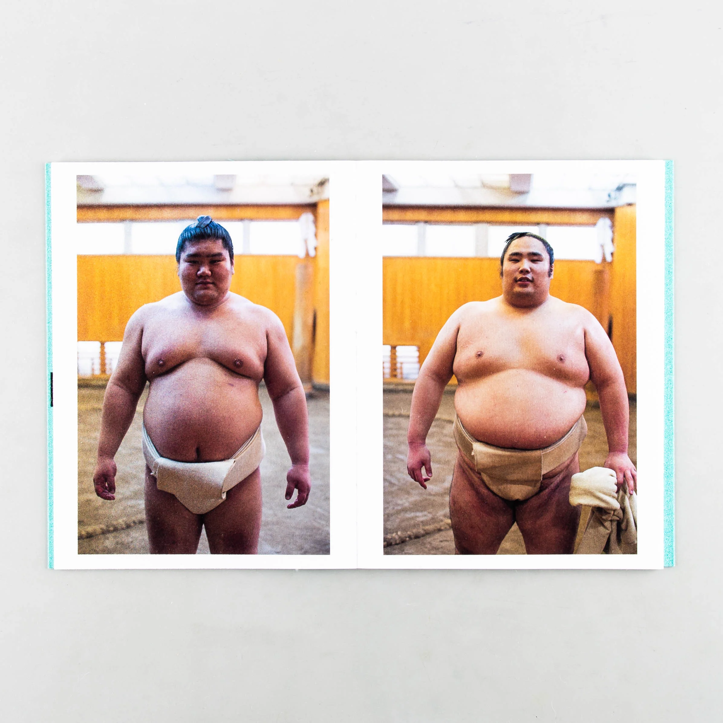 Sumo Judo - Image 8