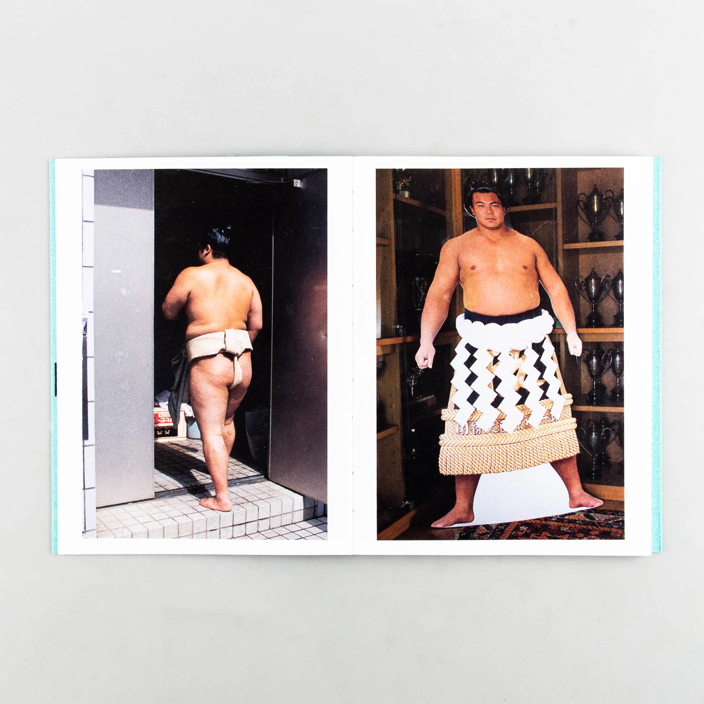 Sumo Judo - Image 9