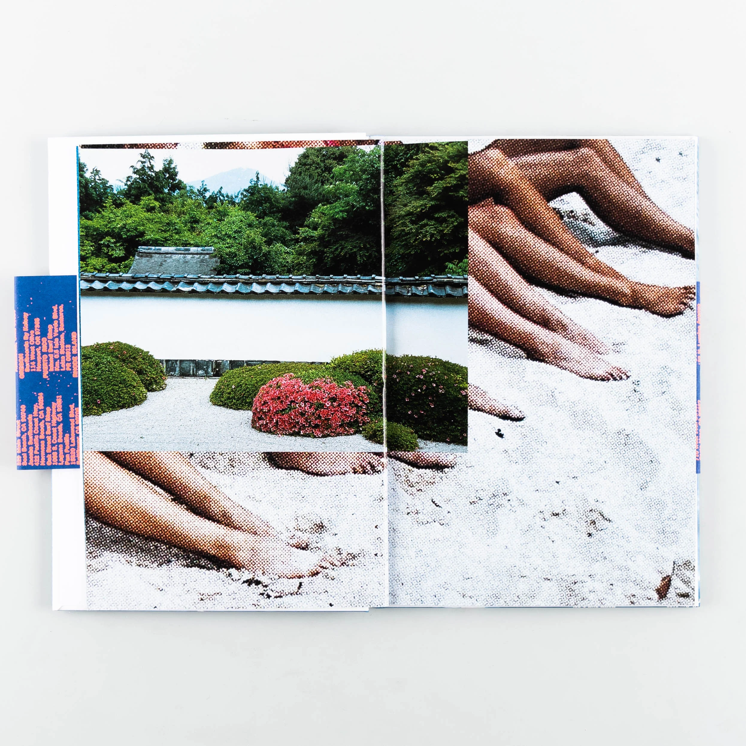 Surf Gardens - Image 2