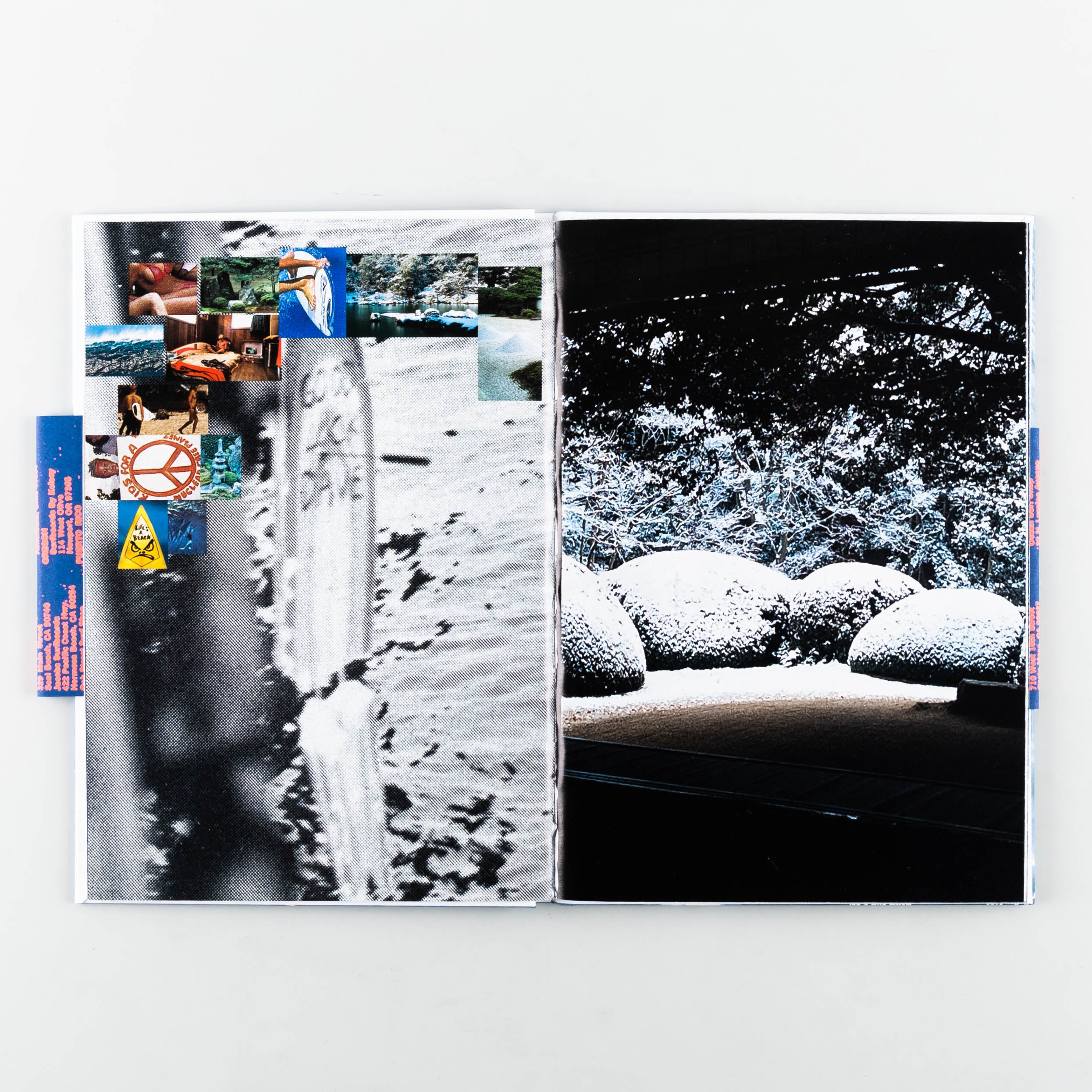 Surf Gardens - Image 3