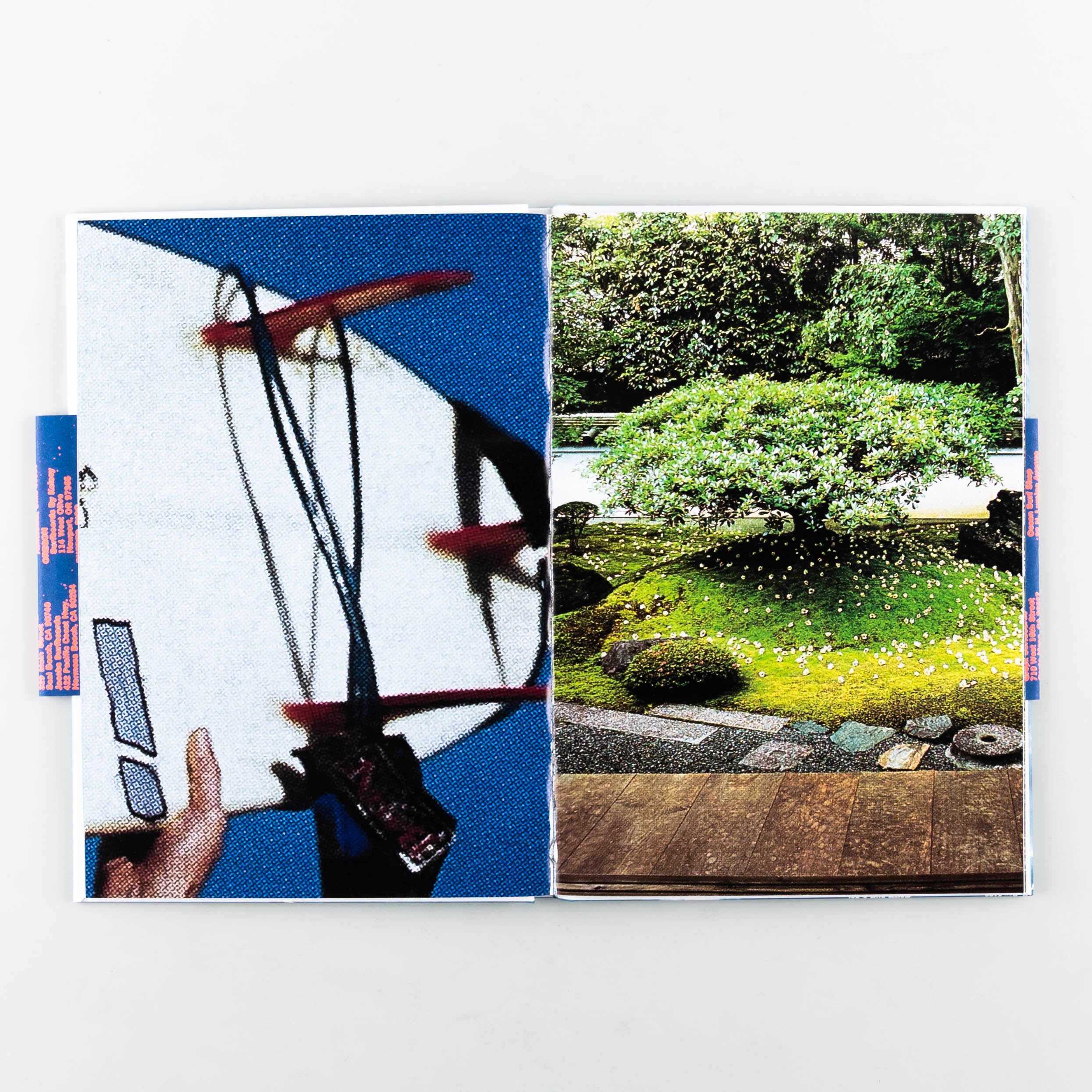Surf Gardens - Image 4