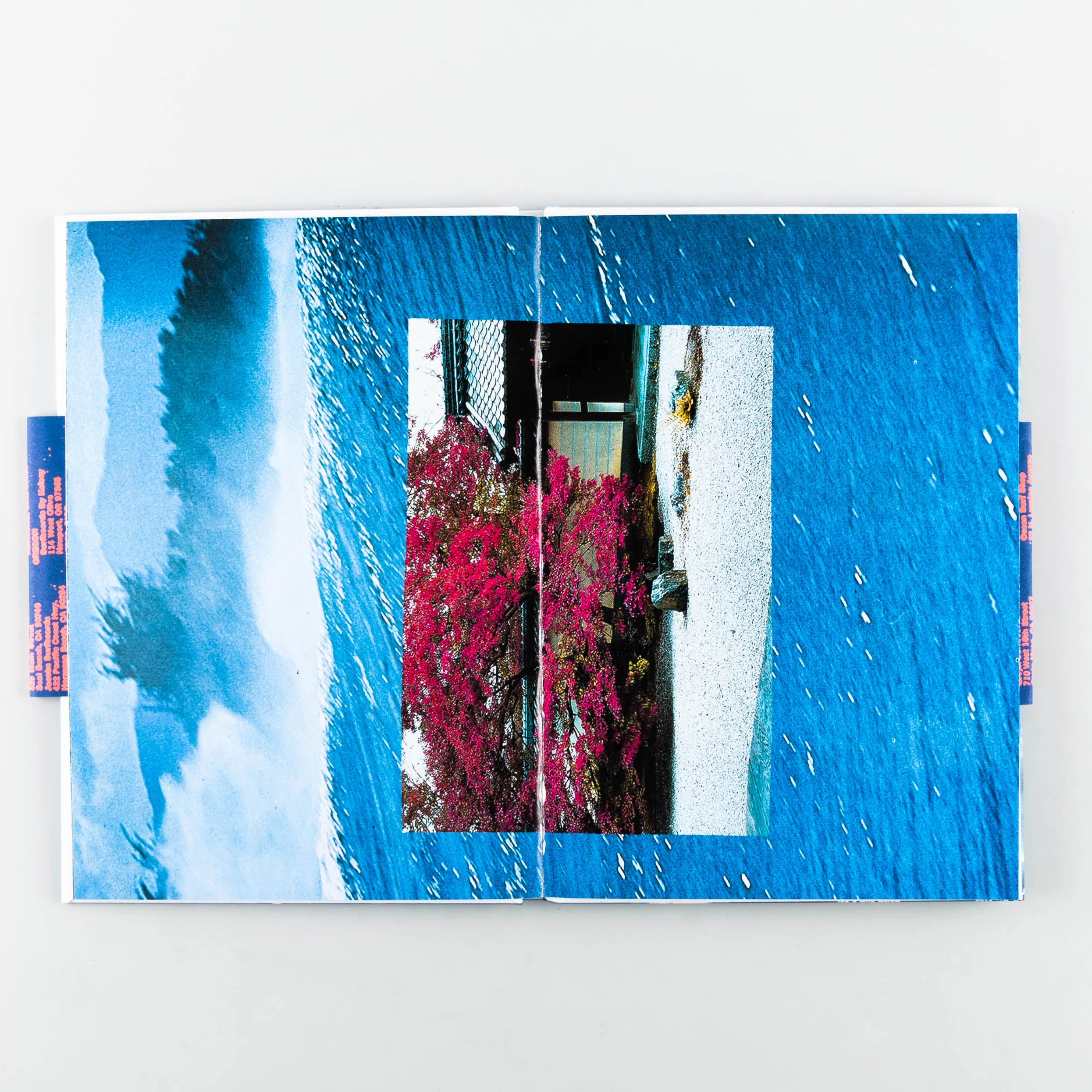 Surf Gardens - Image 5