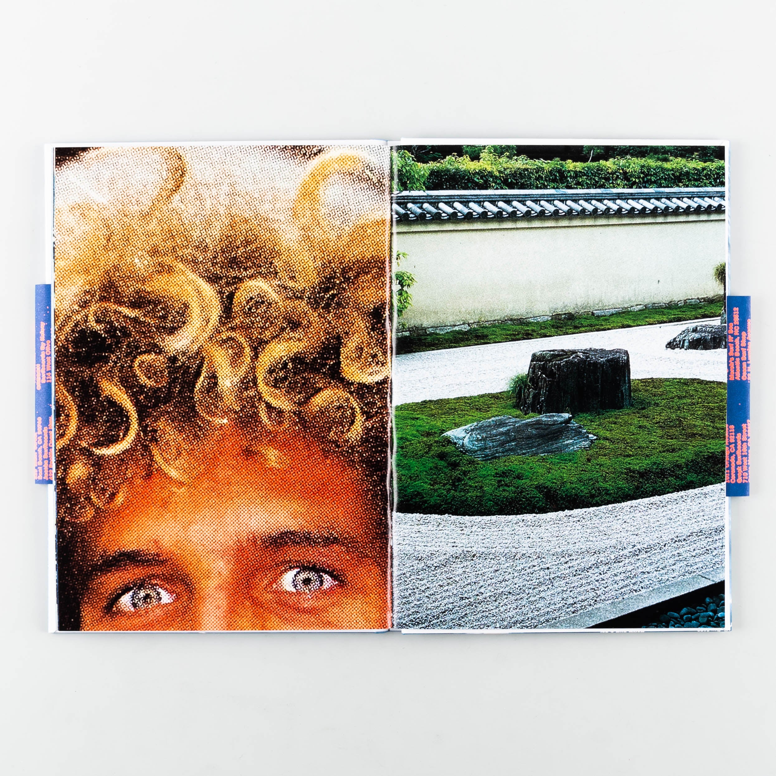 Surf Gardens - Image 6