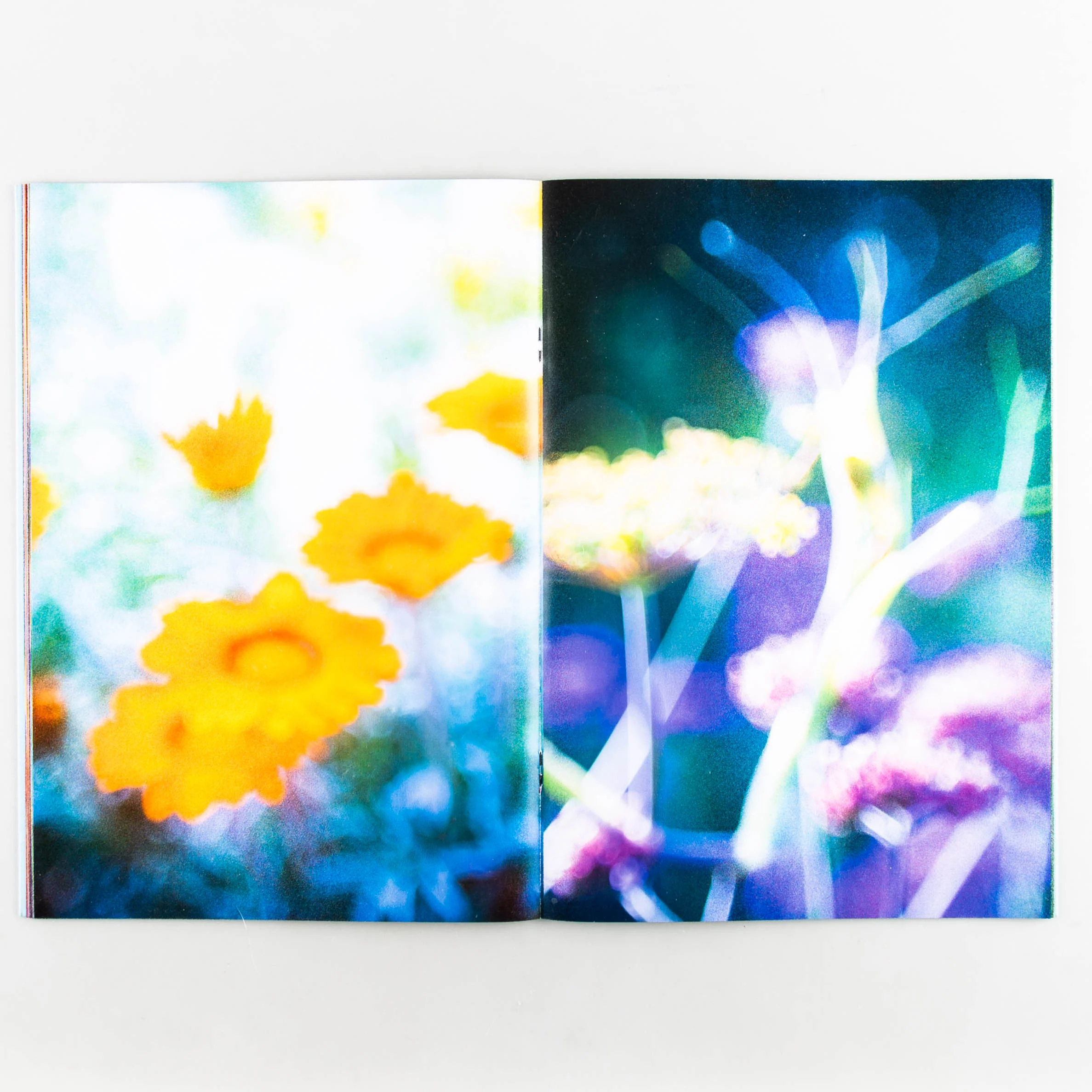 Symphony II - Image 5