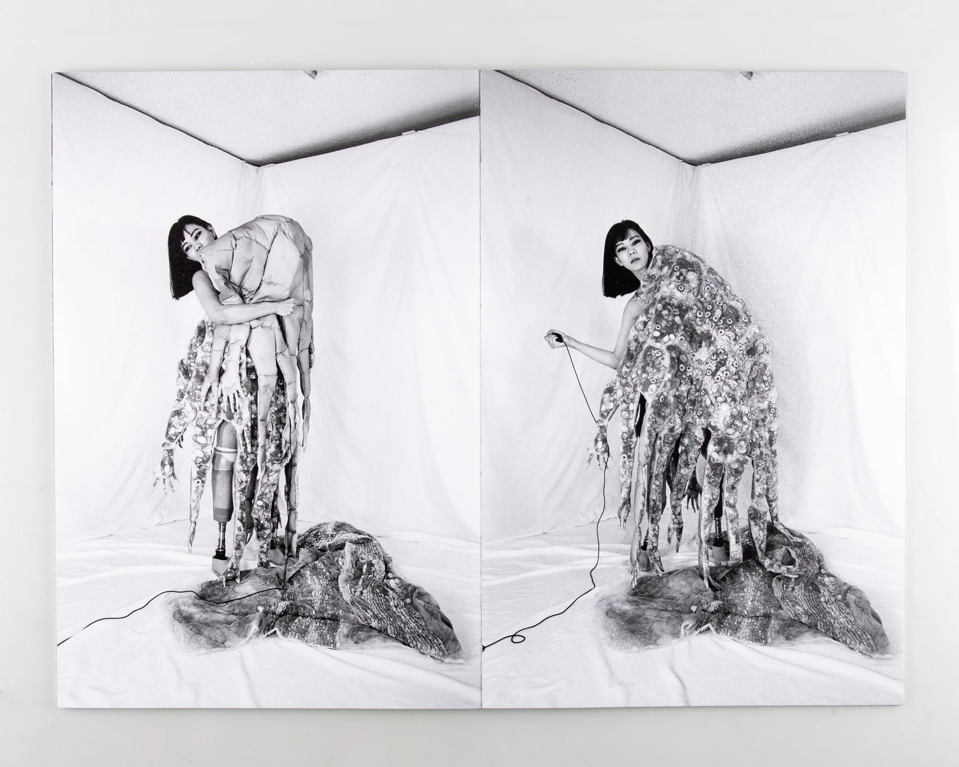 Synthesis (SIGNED) - Image 4
