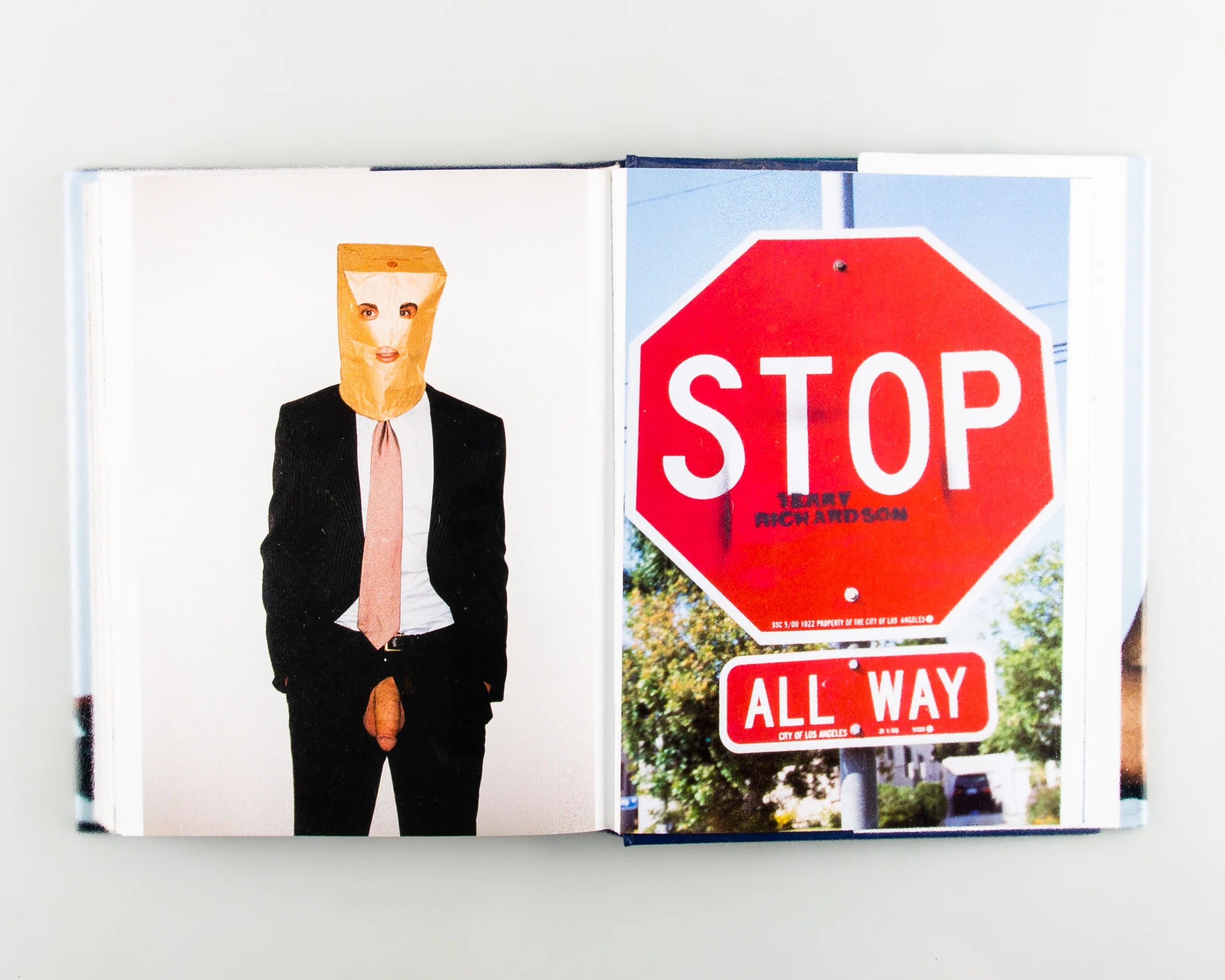 Terryworld - Image 14