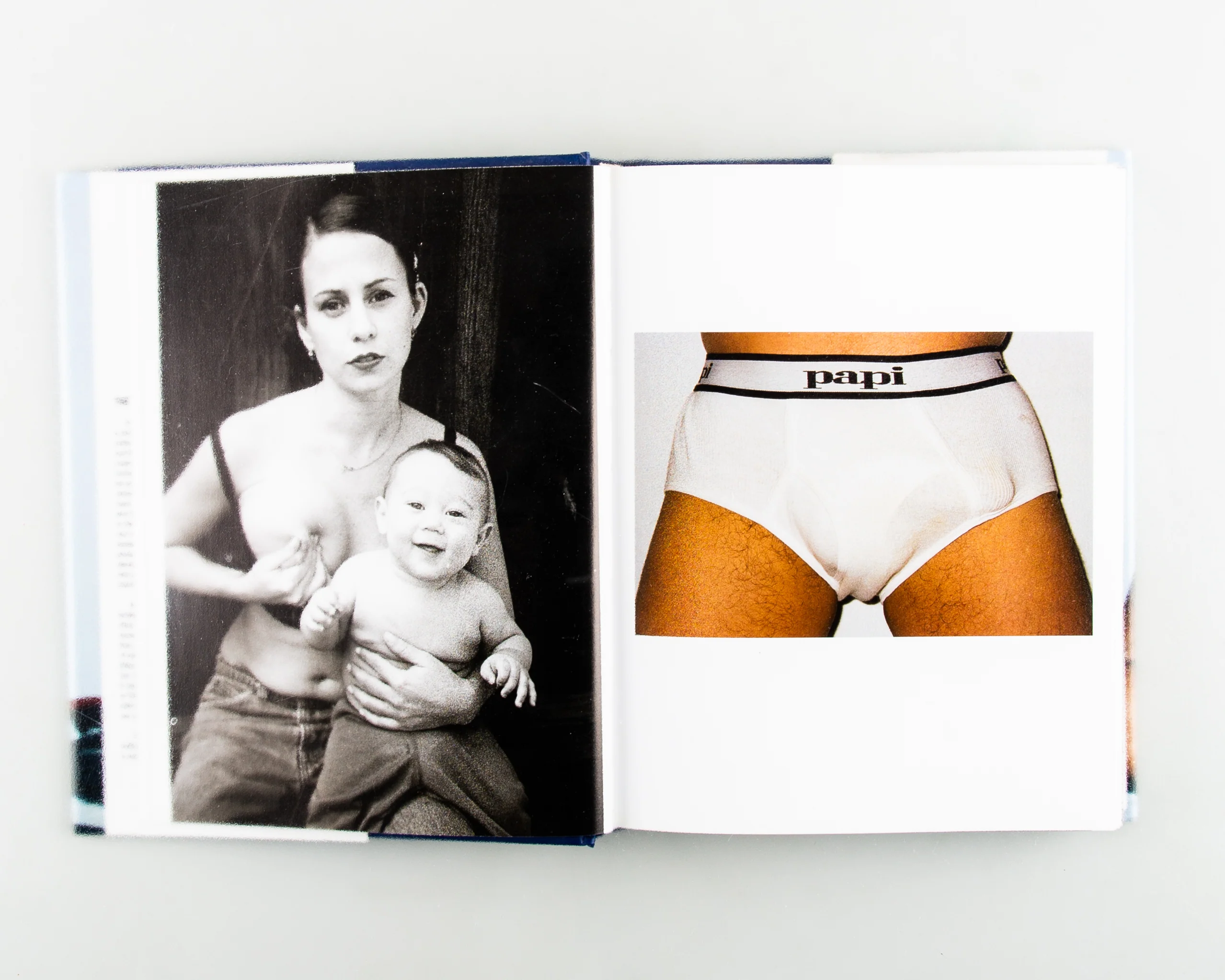 Terryworld - Image 2