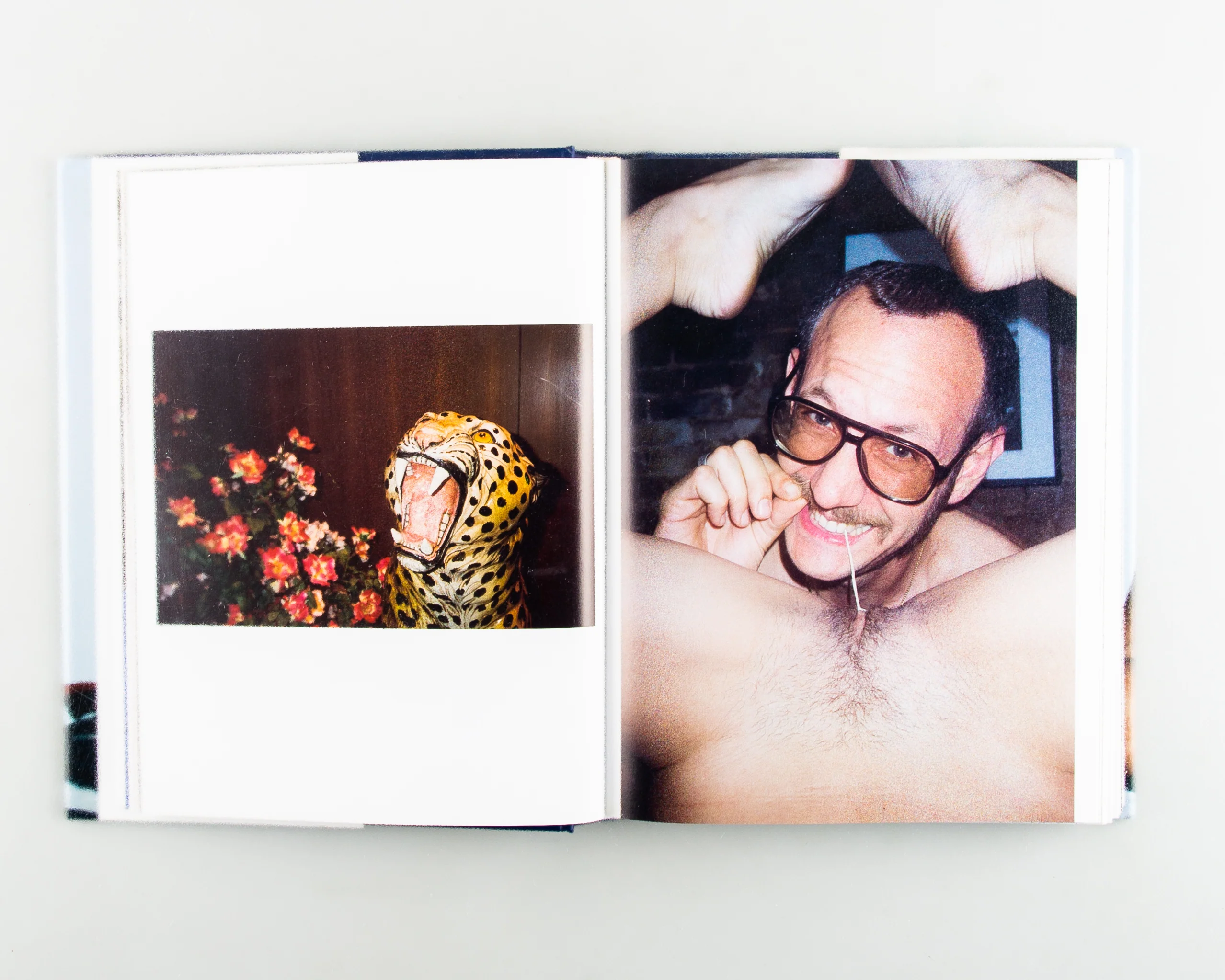 Terryworld - Image 4