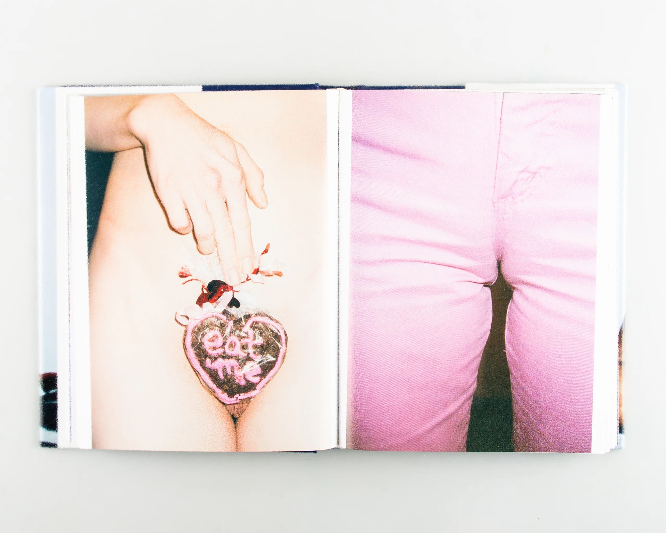 Terryworld - Image 6
