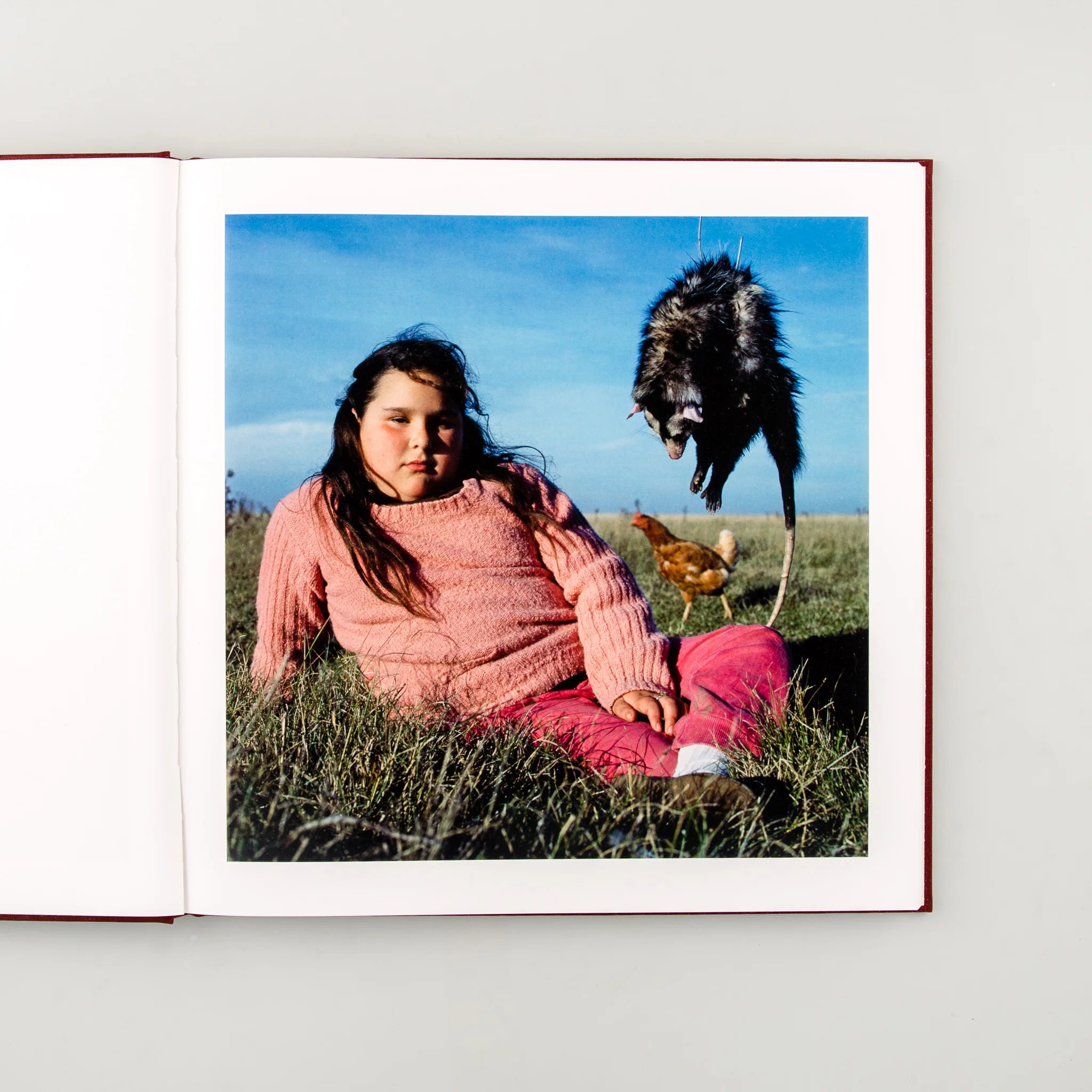 The Adventures of Guille and Belinda and The Enigmatic Meaning of Their Dreams - Image 2
