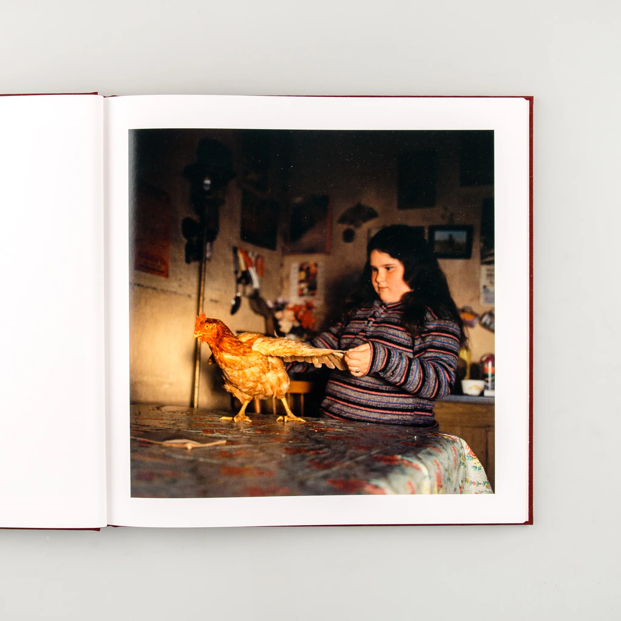The Adventures of Guille and Belinda and The Enigmatic Meaning of Their Dreams - Image 3