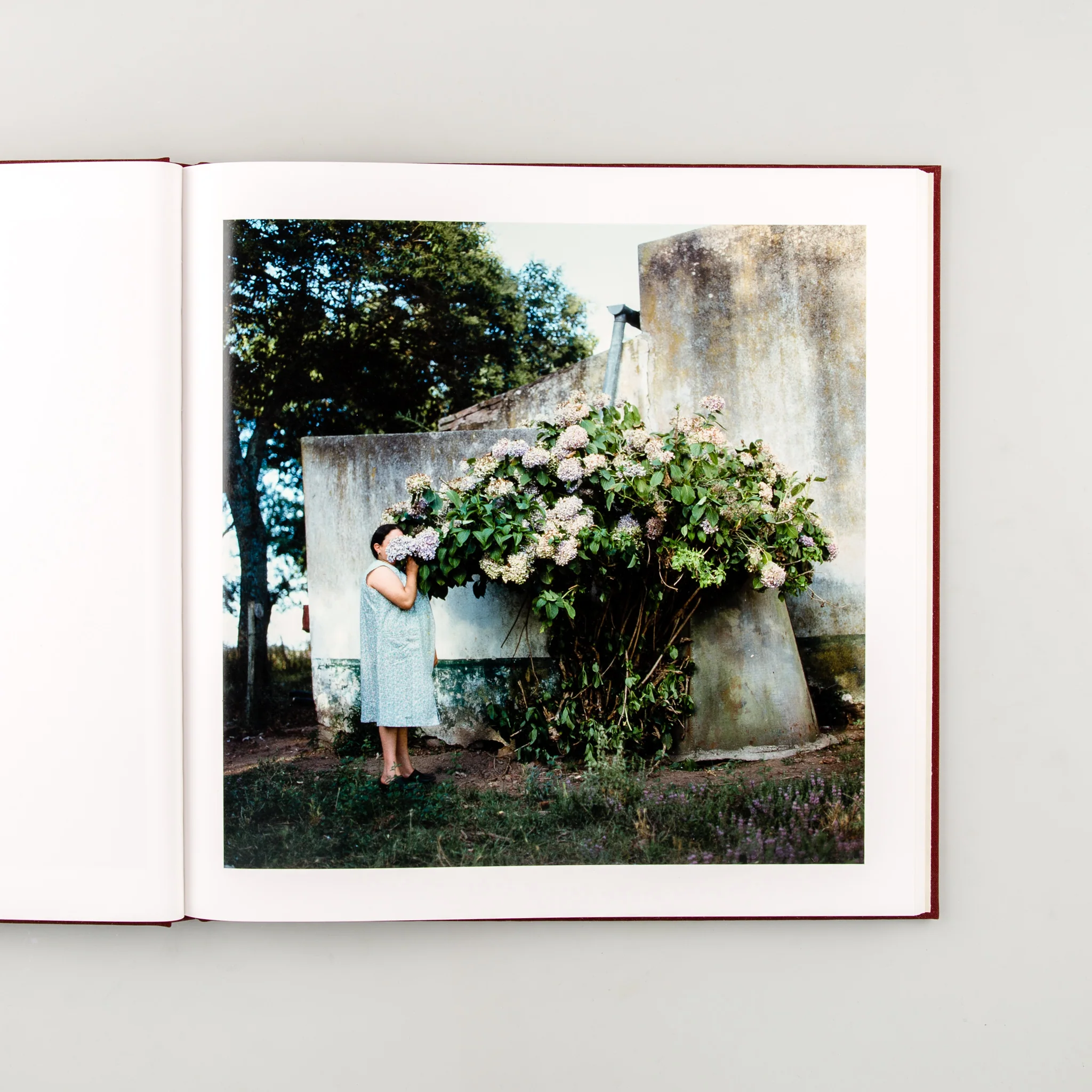 The Adventures of Guille and Belinda and The Enigmatic Meaning of Their Dreams - Image 4