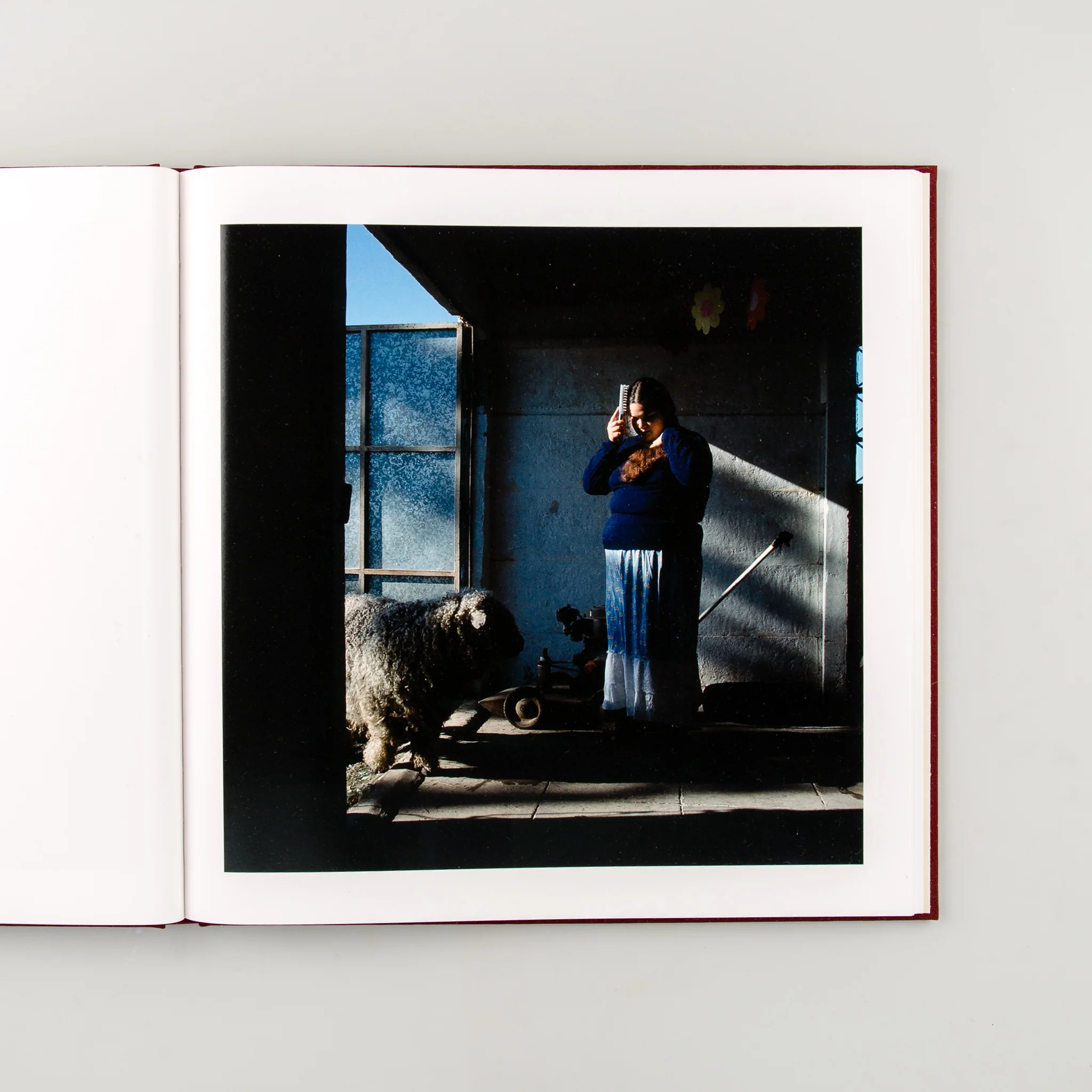 The Adventures of Guille and Belinda and The Enigmatic Meaning of Their Dreams - Image 6