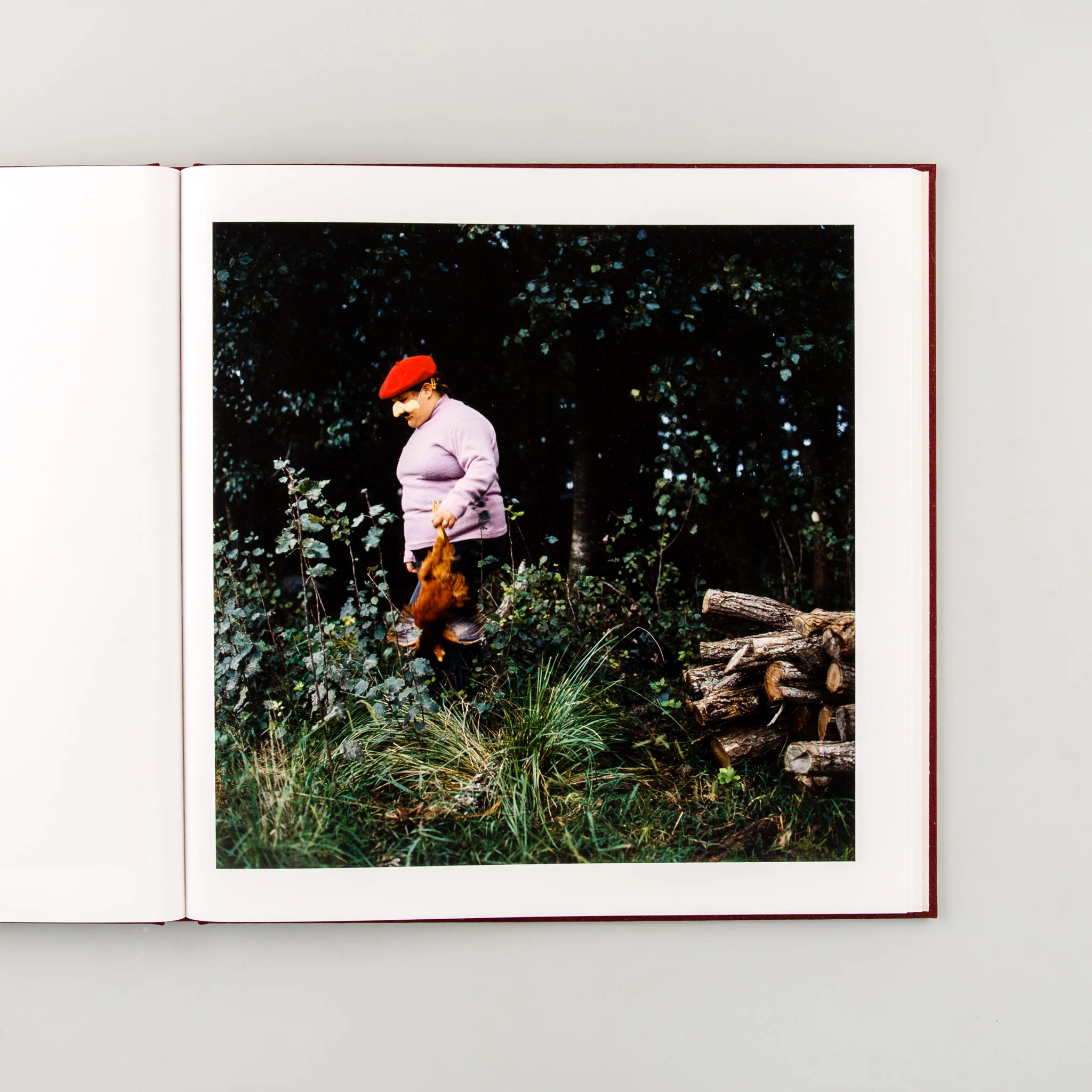 The Adventures of Guille and Belinda and The Enigmatic Meaning of Their Dreams - Image 8