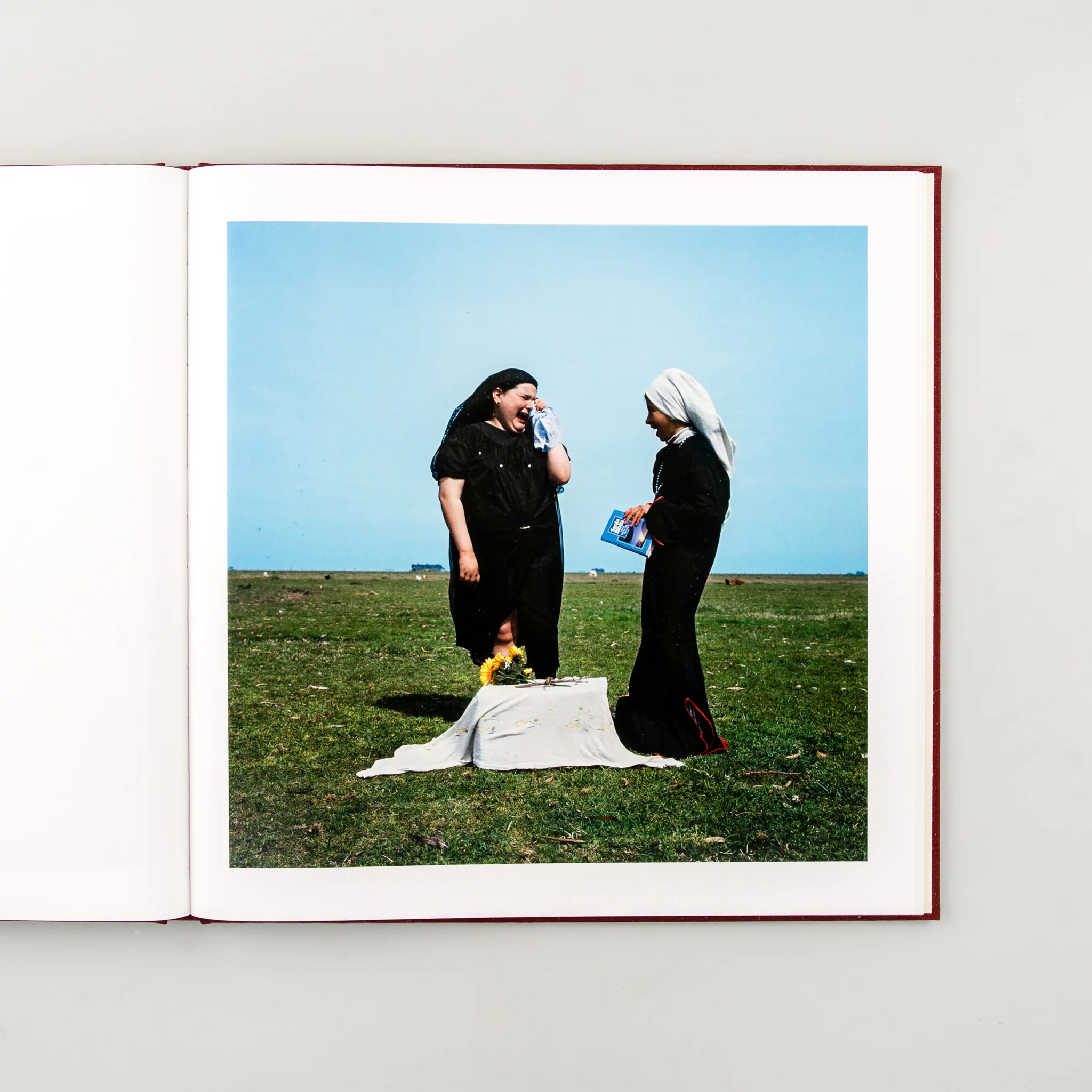 The Adventures of Guille and Belinda and The Enigmatic Meaning of Their Dreams - Image 9