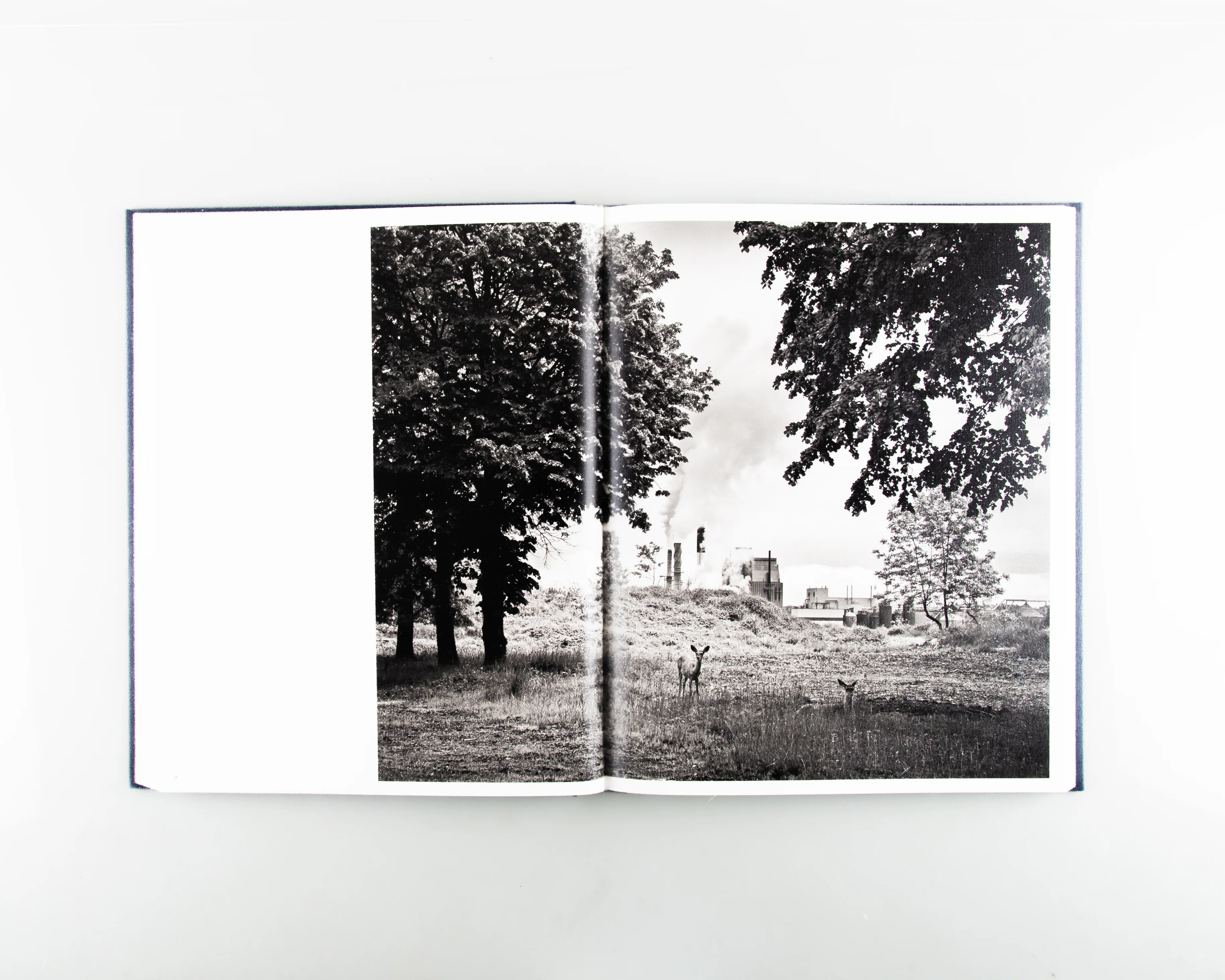 The Cloud Factory - Image 10