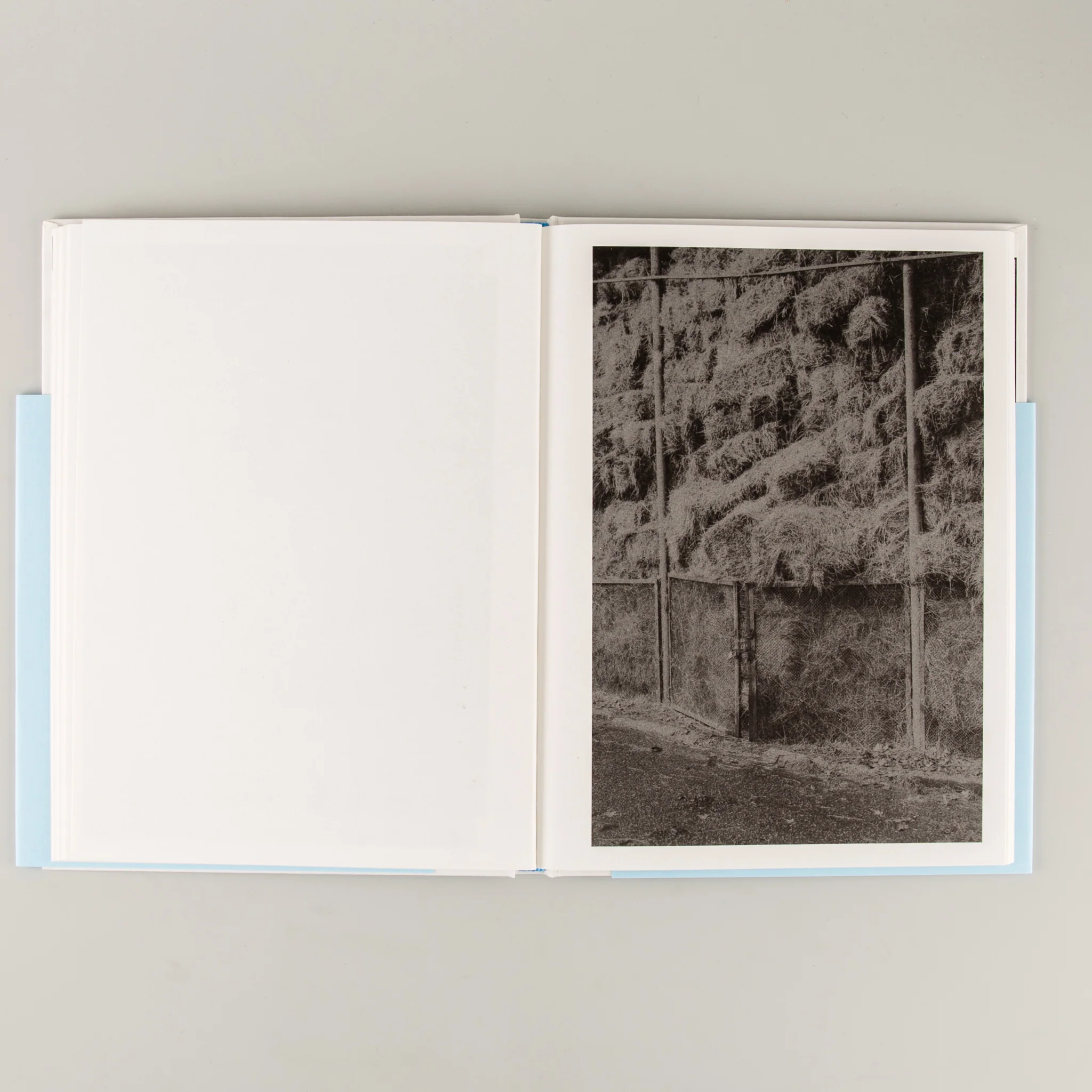 The Flood - Image 5