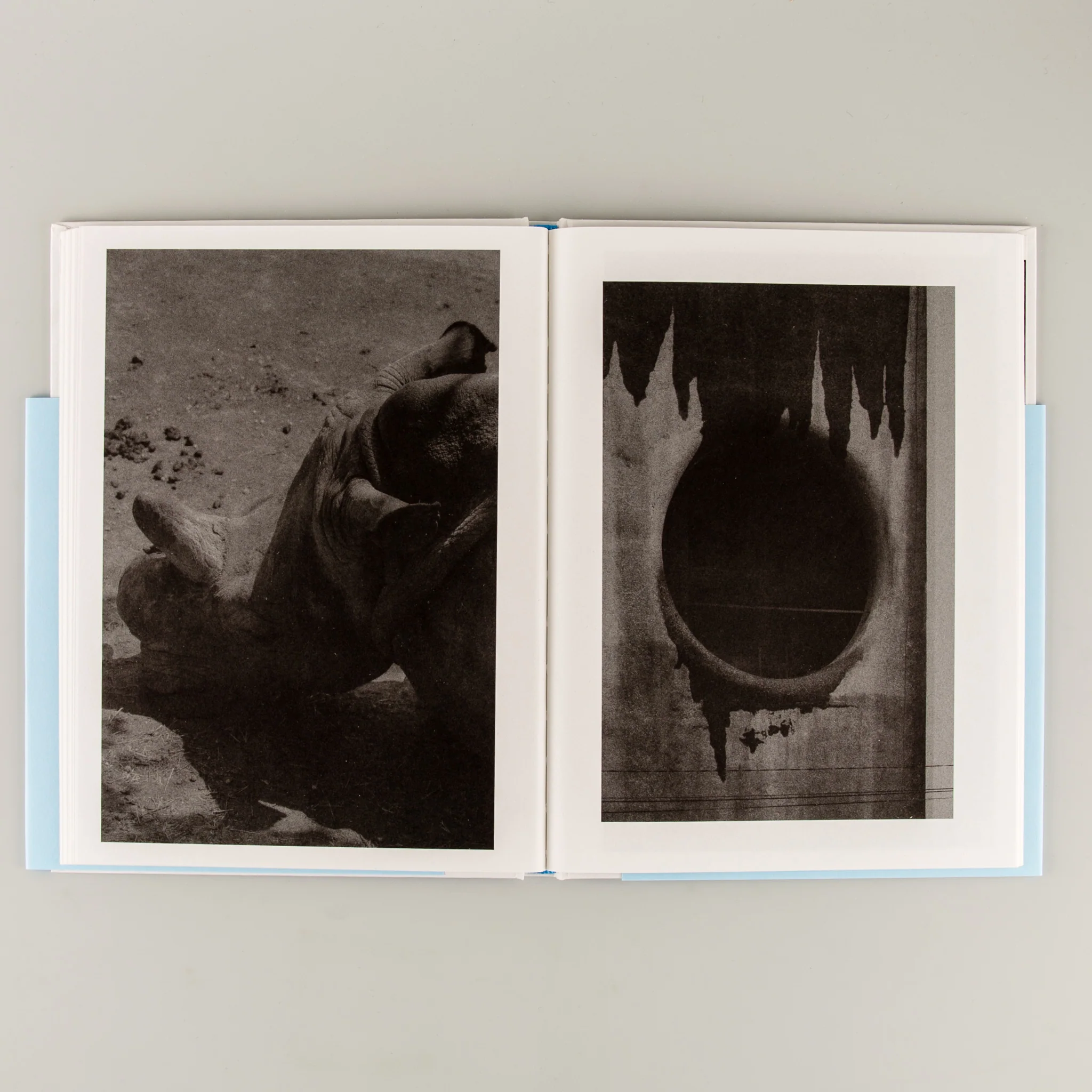 The Flood - Image 6
