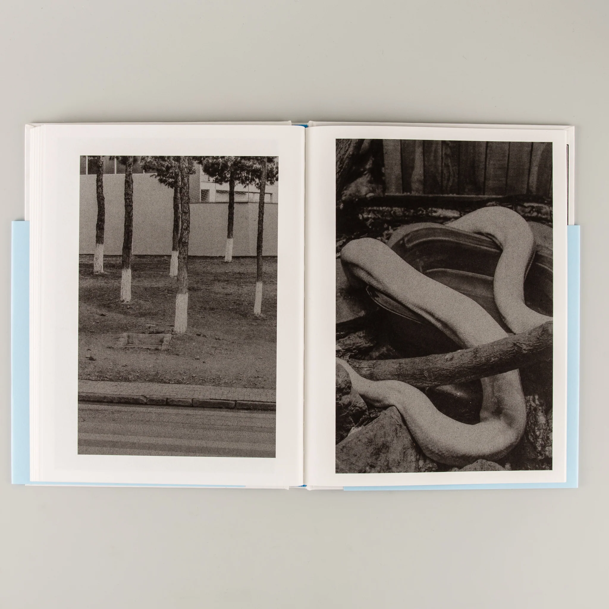 The Flood - Image 9