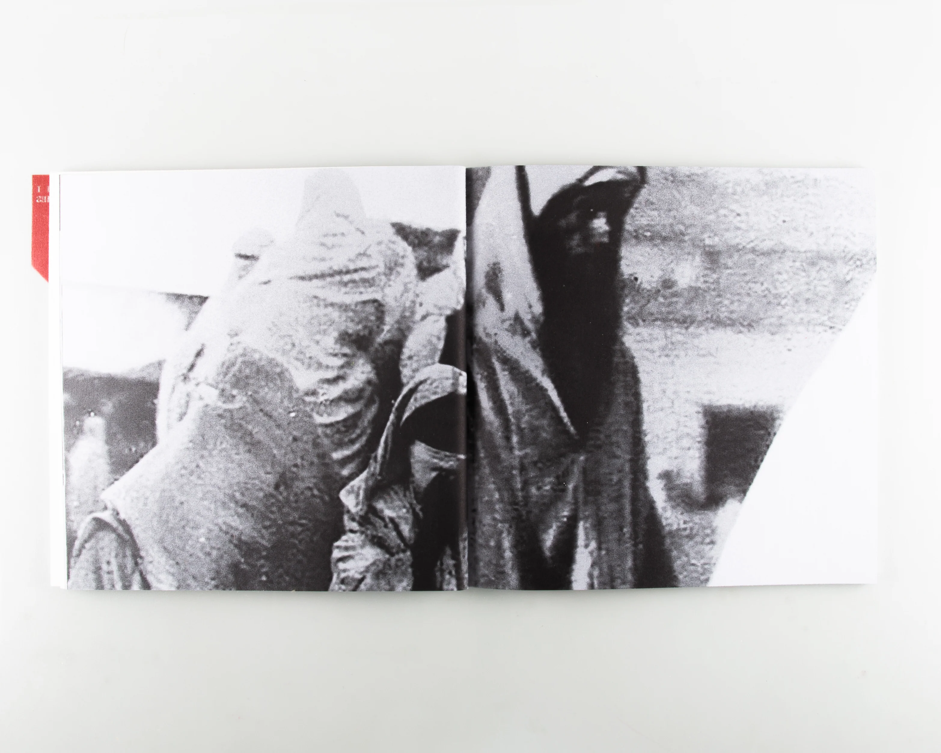 The Fold - Image 8
