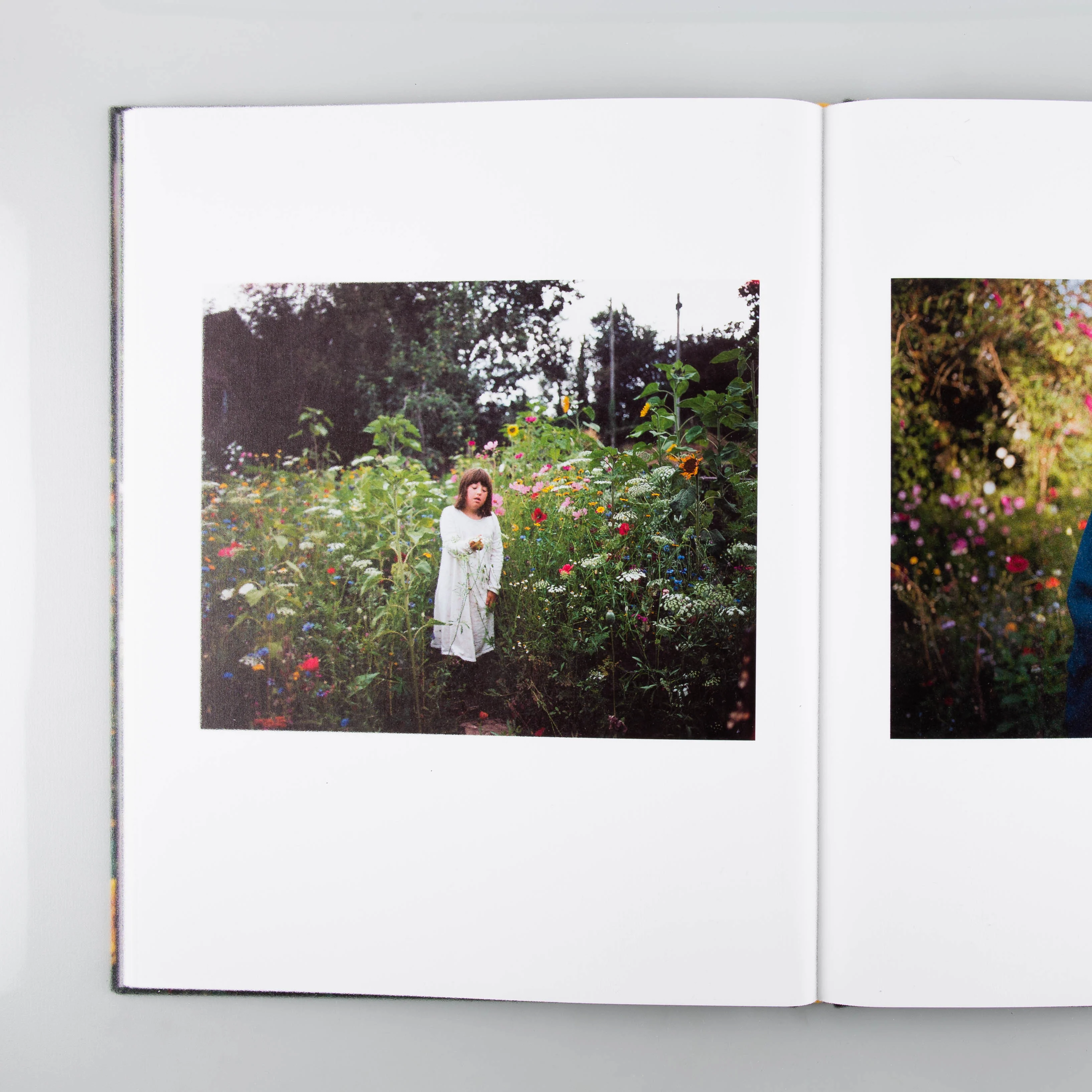 The Garden - Image 2