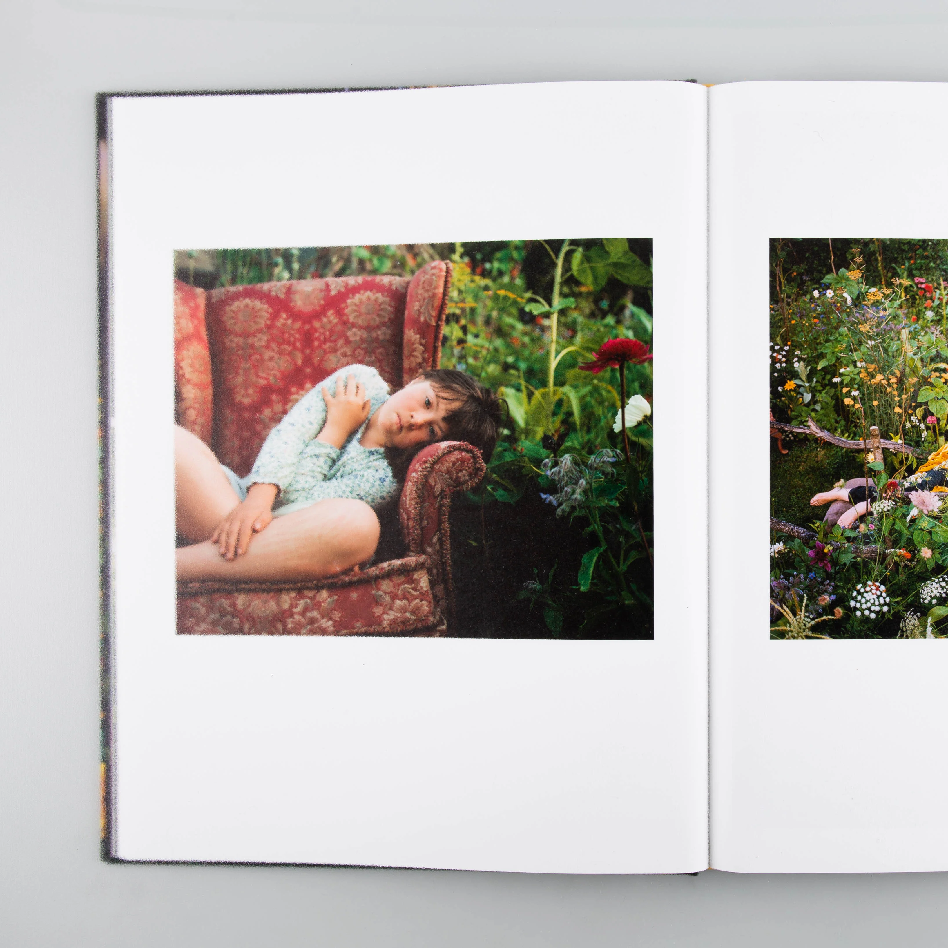 The Garden - Image 3