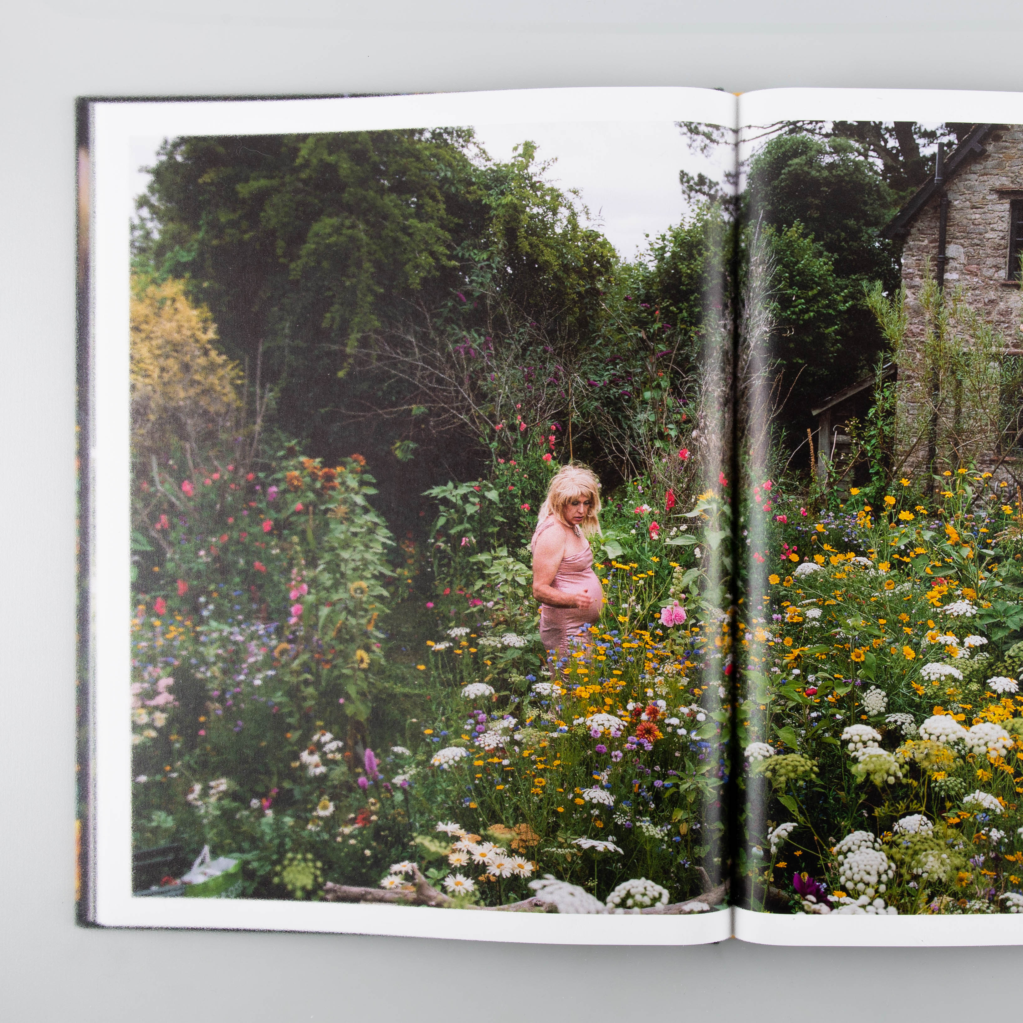 The Garden - Image 4