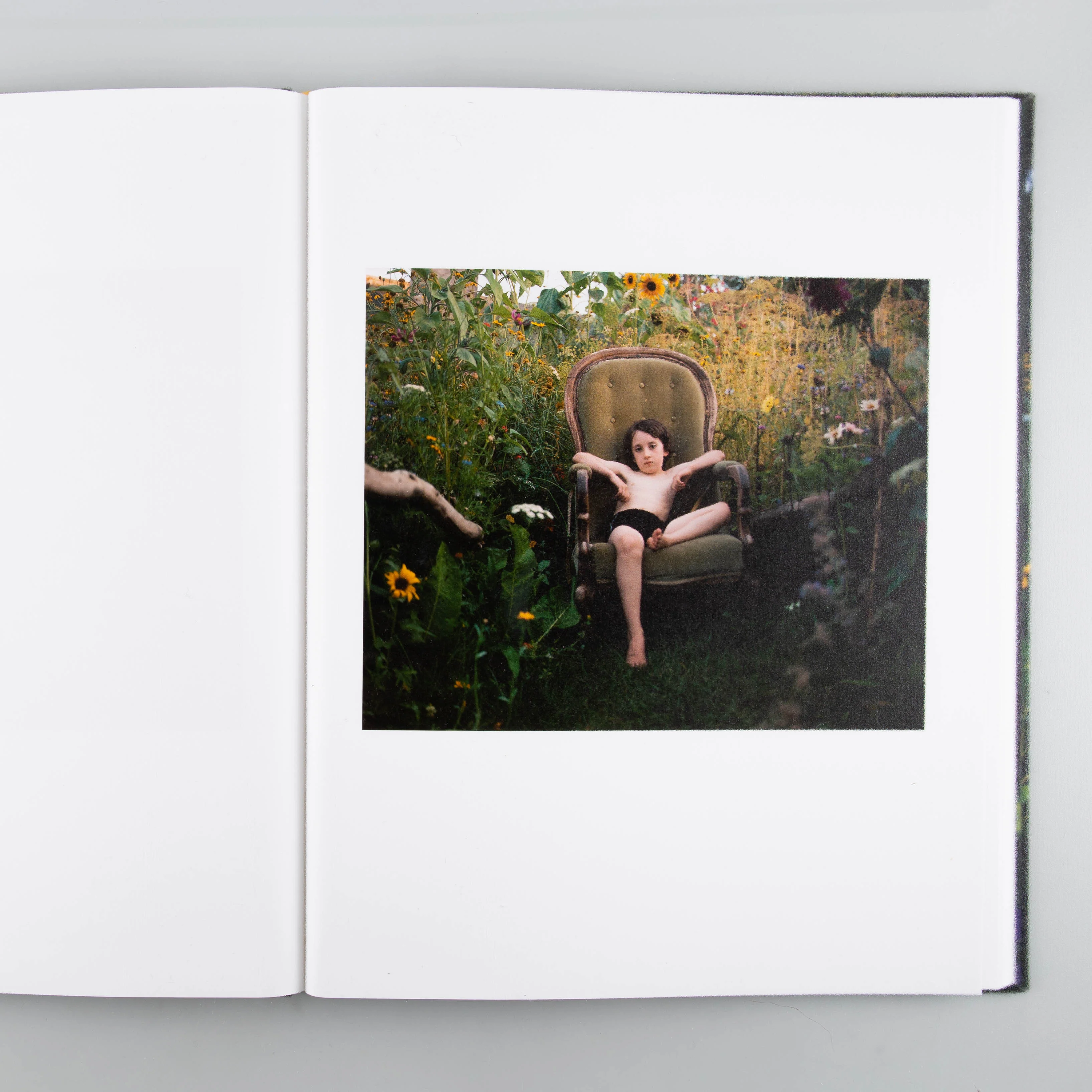 The Garden - Image 5