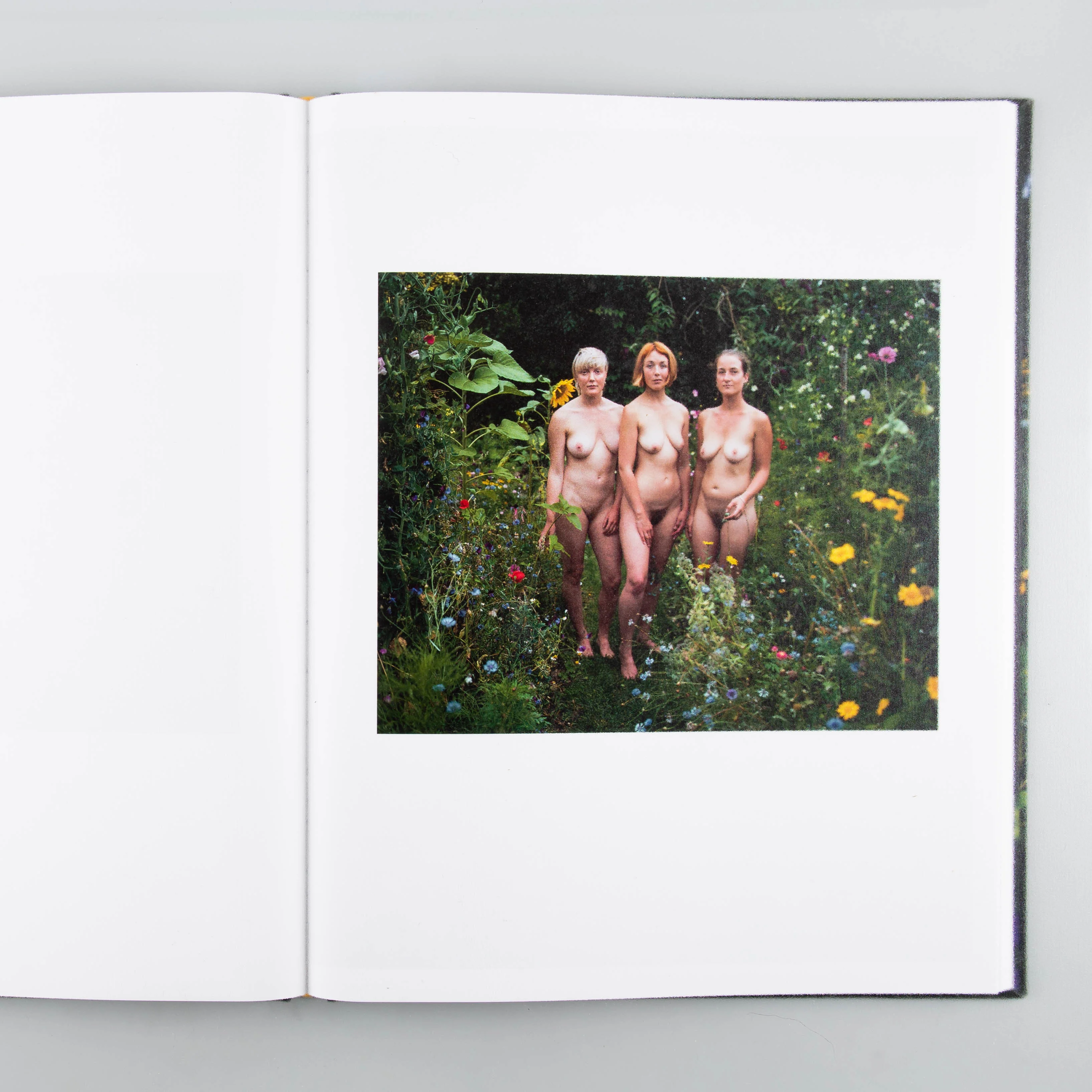 The Garden - Image 6