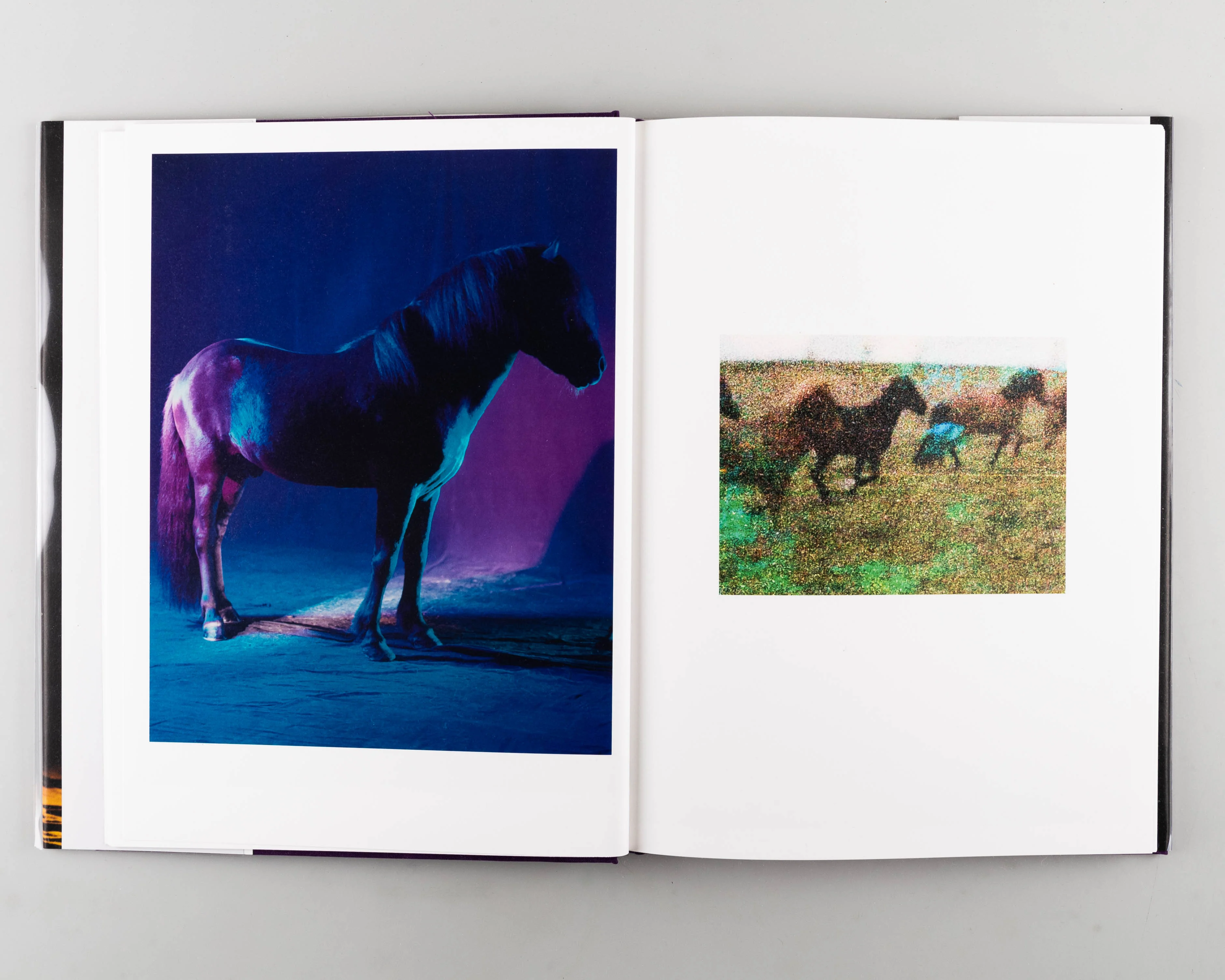 The Horses - Image 2