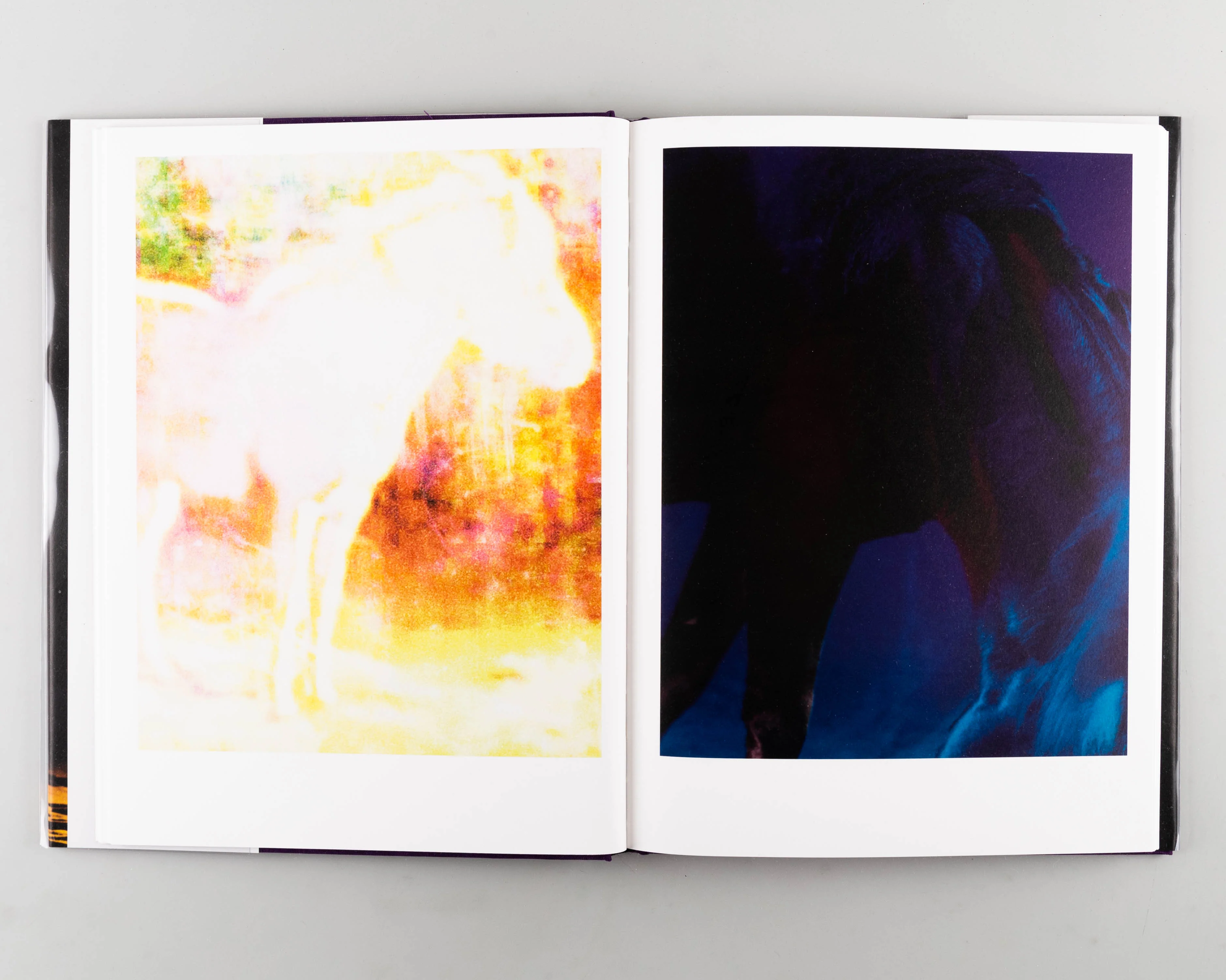 The Horses - Image 3