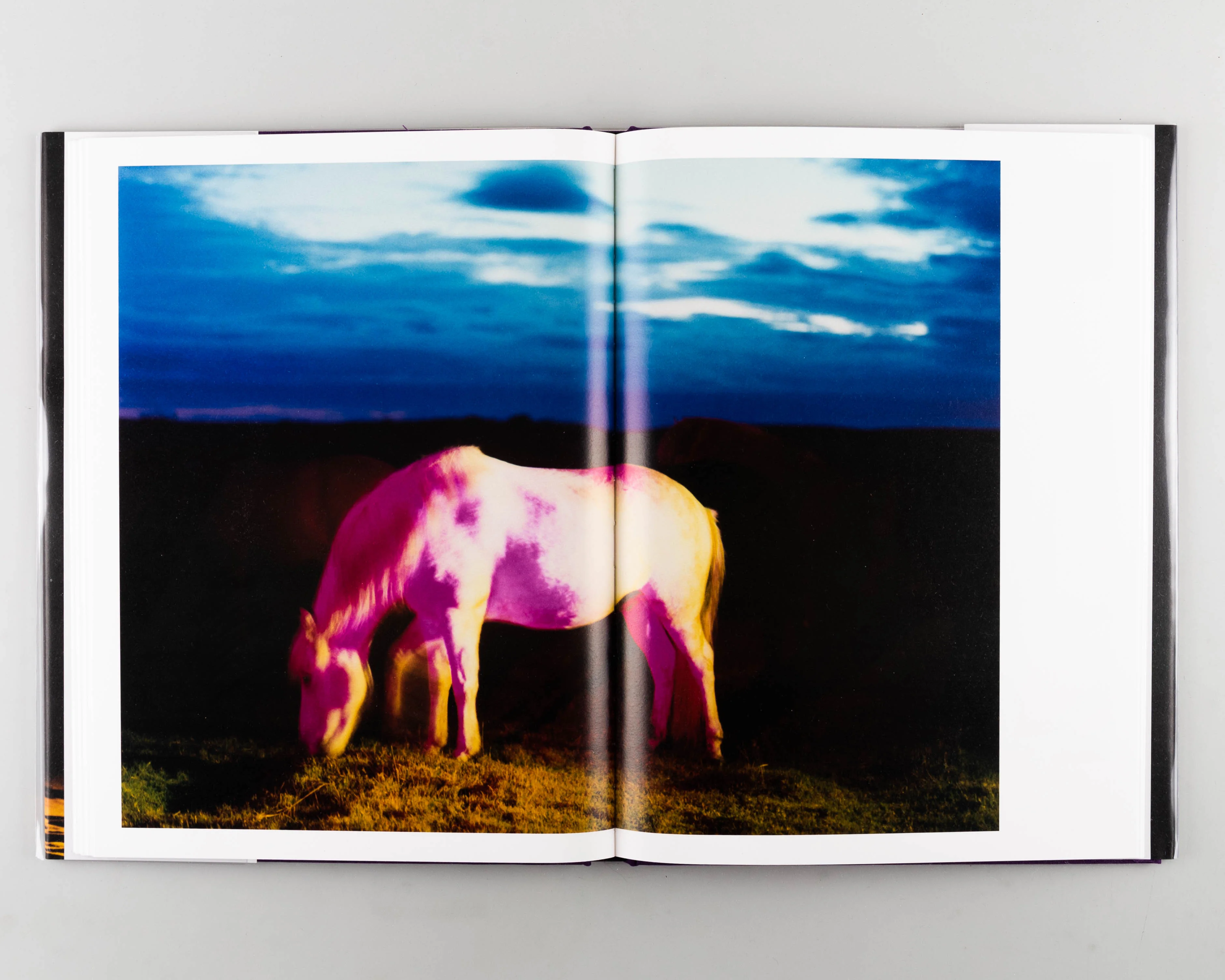 The Horses - Image 5