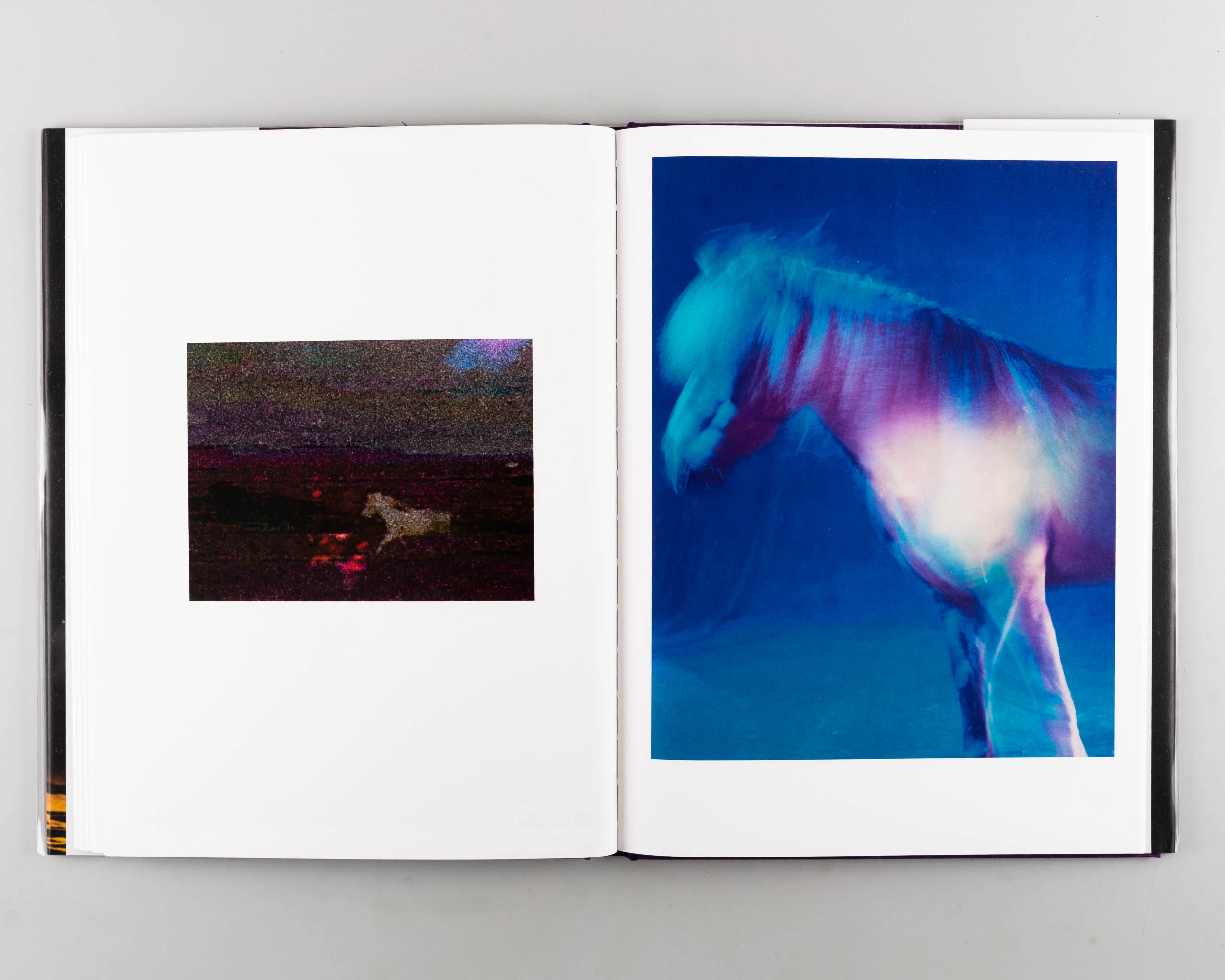 The Horses - Image 6