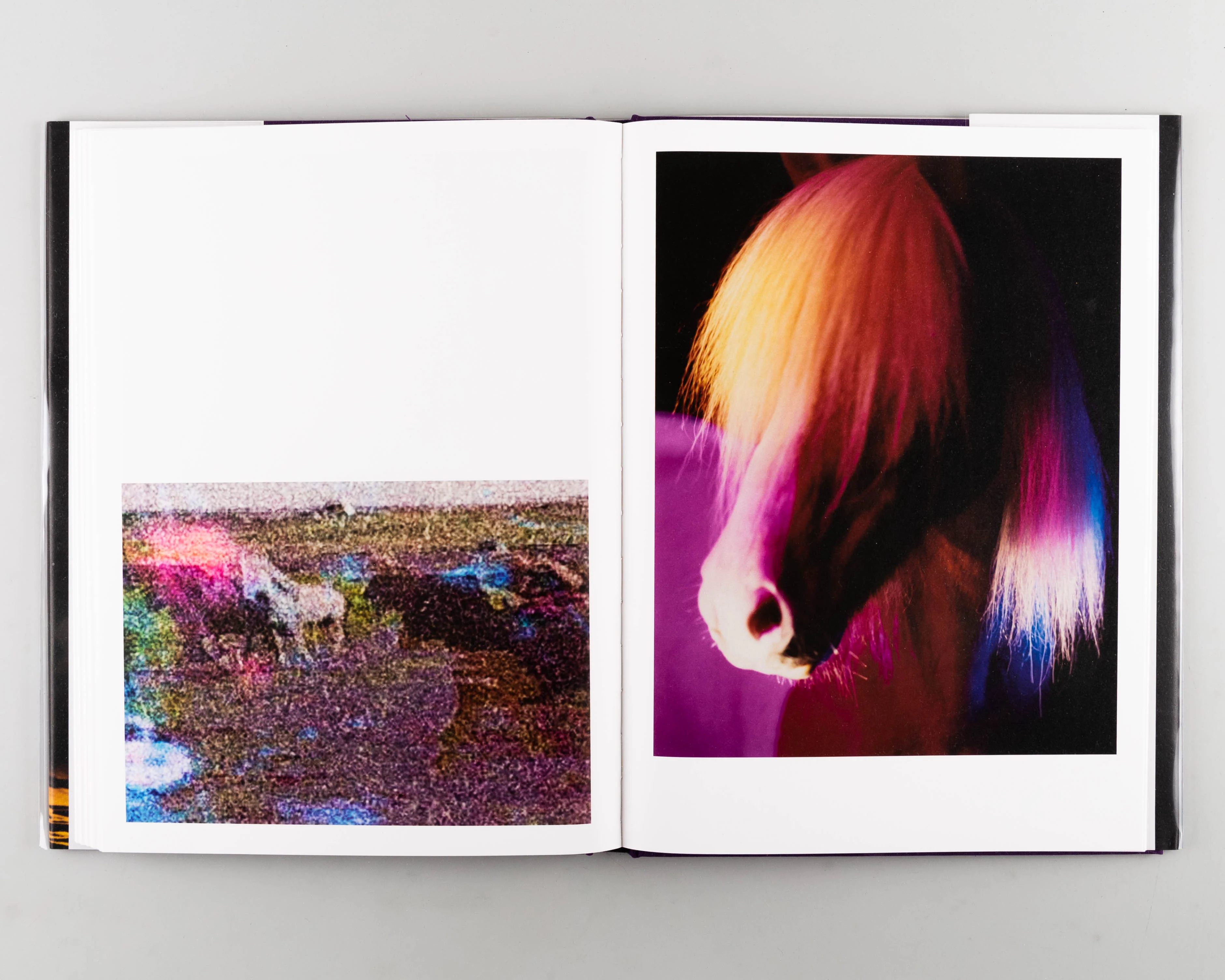 The Horses - Image 7