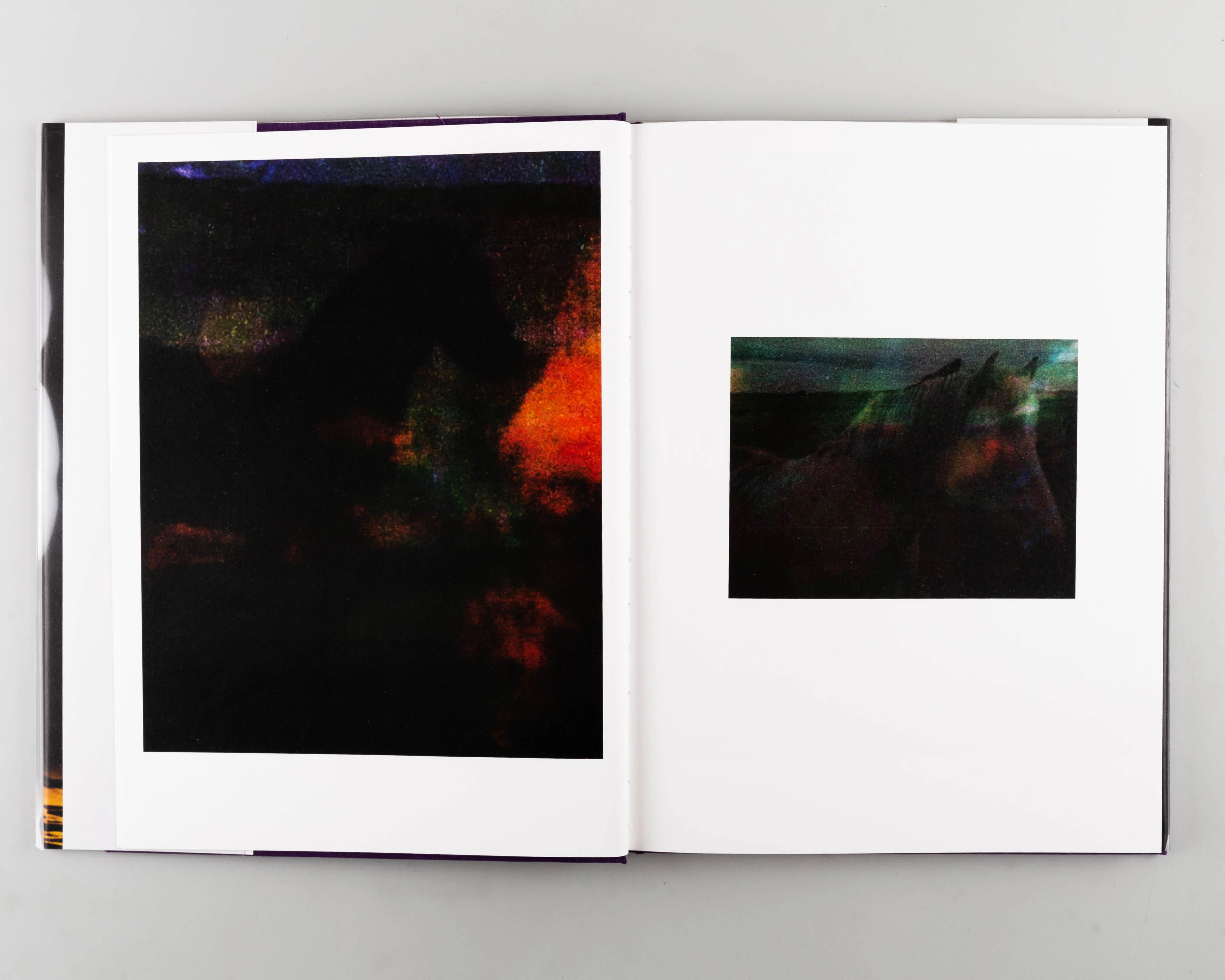 The Horses - Image 8