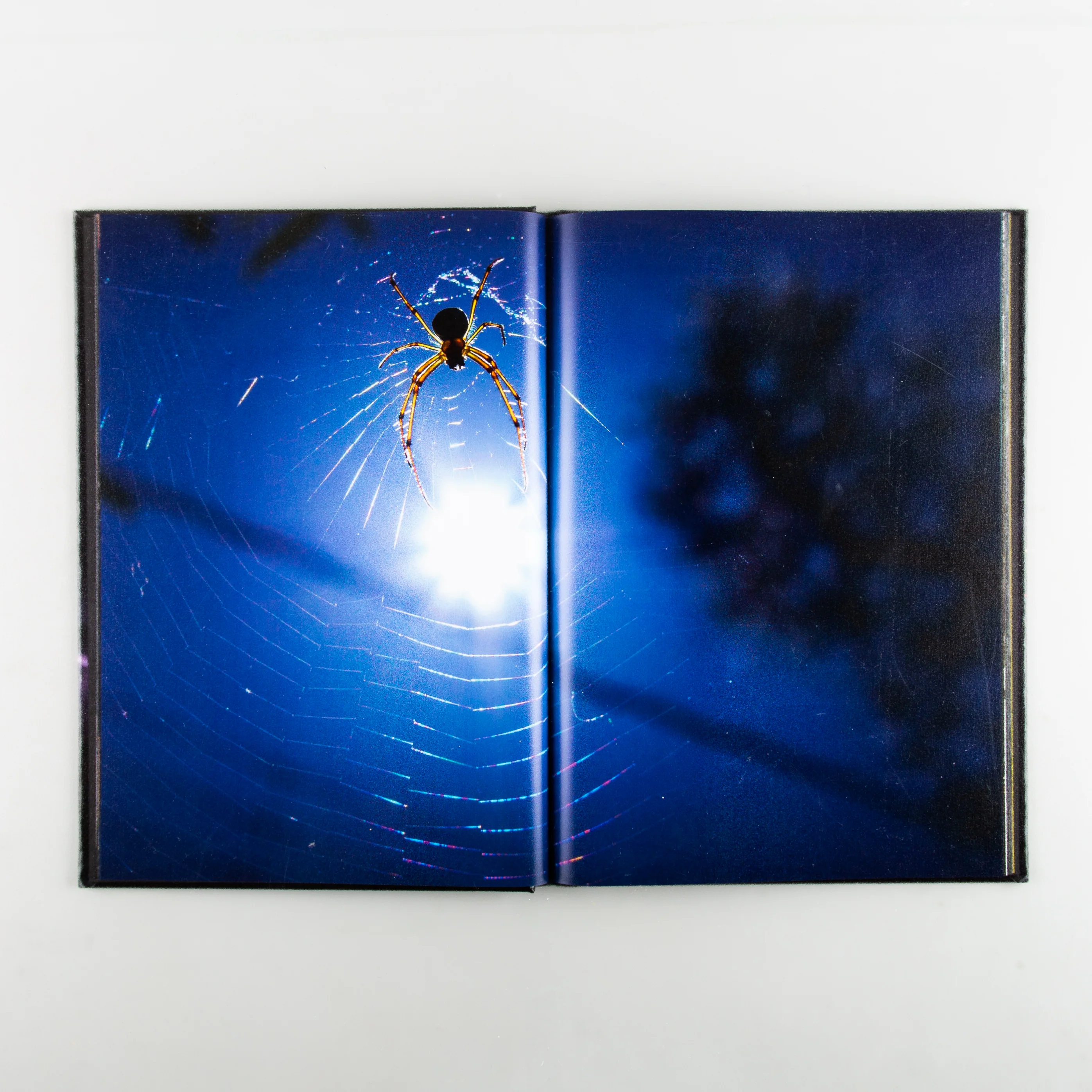 The Microcosm in Memory - Image 3