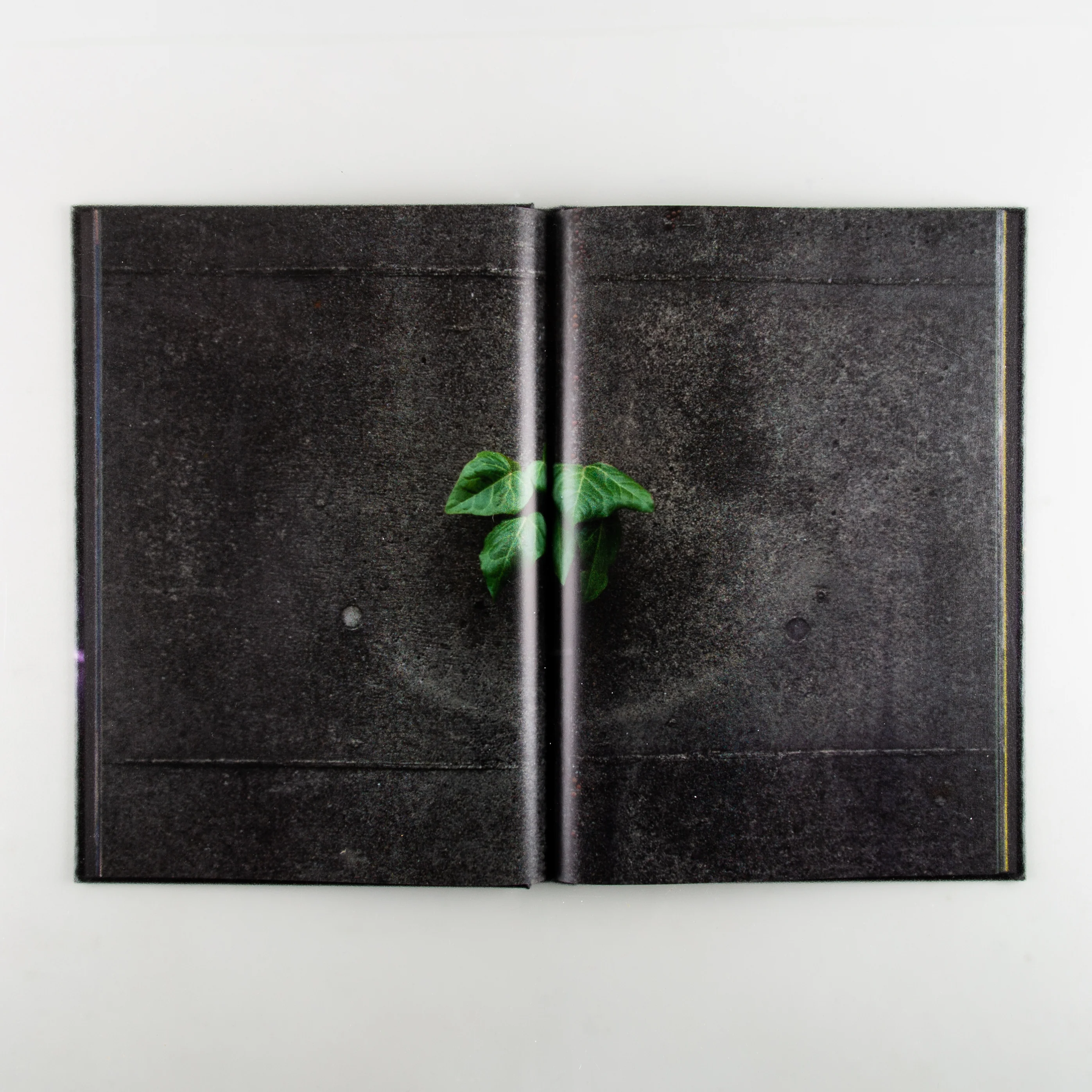 The Microcosm in Memory - Image 6